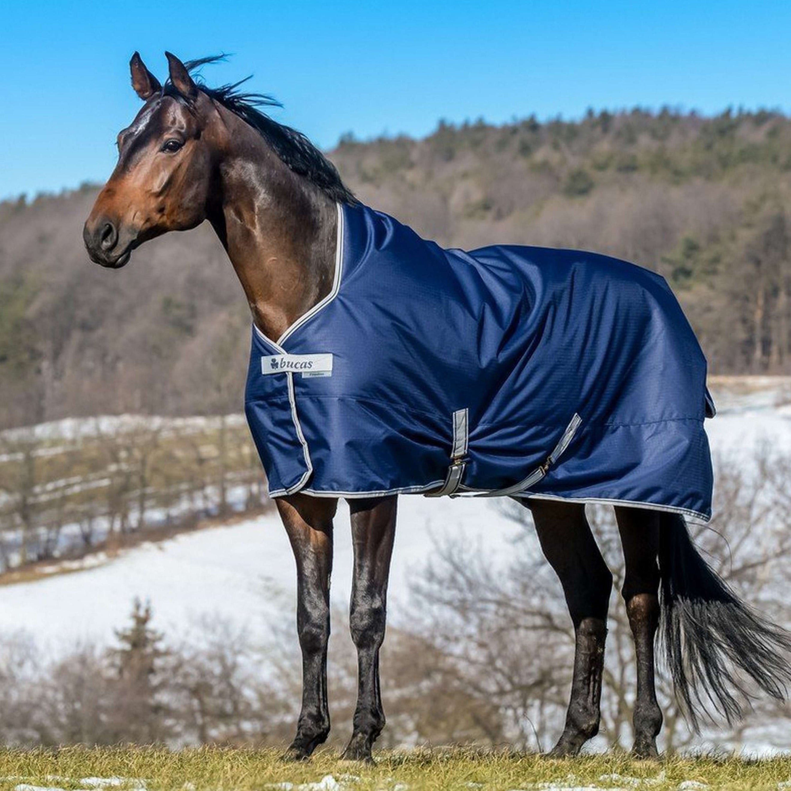 Bucas Turnout Freedom Light High Neck 0g Marin Bucas Turnout Freedom Light High Neck 0g Marin