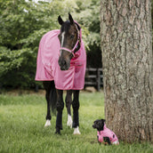 Bucas Freedom Dog Rug Aurora Pink