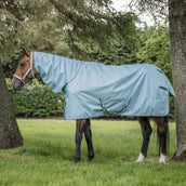 Bucas Licol Dublin Poulain Turquoise