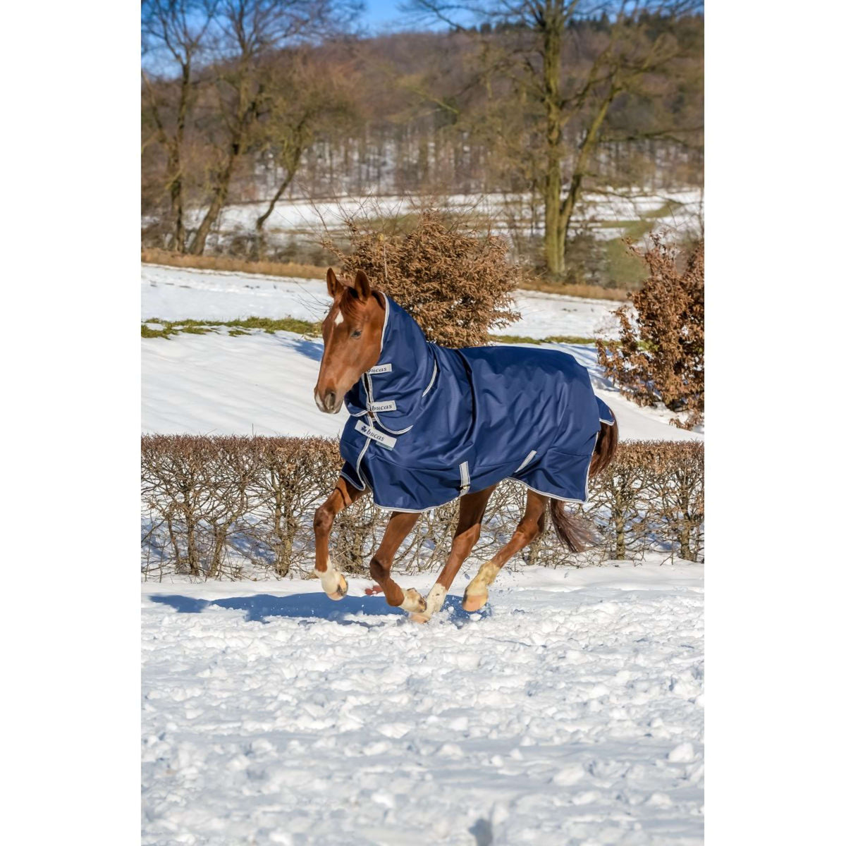 Bucas Freedom Turnout Full Neck 300g Marin/Argente