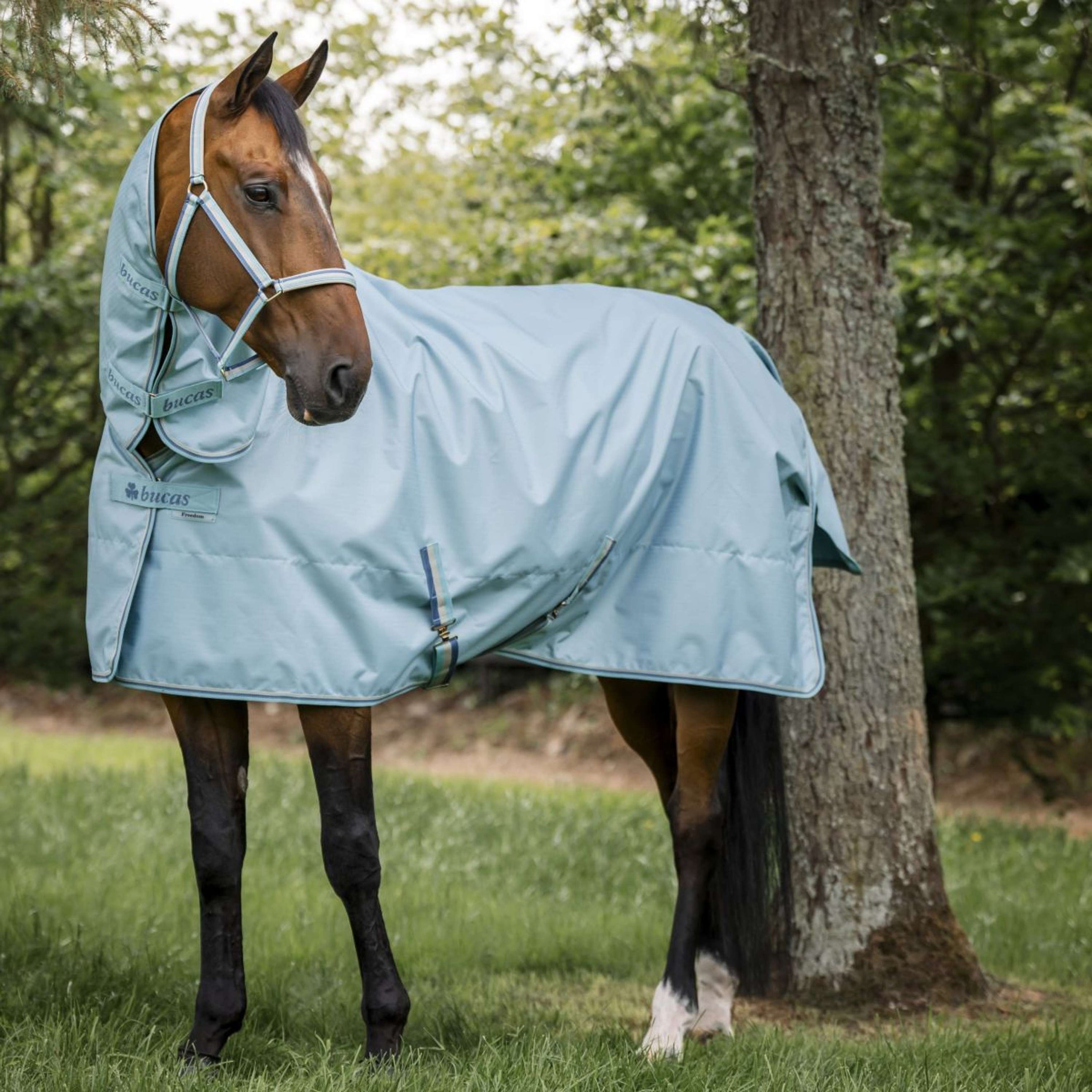 Bucas Freedom Turnout Full Neck 0g Turquoise Bucas Freedom Turnout Full Neck 0g Turquoise