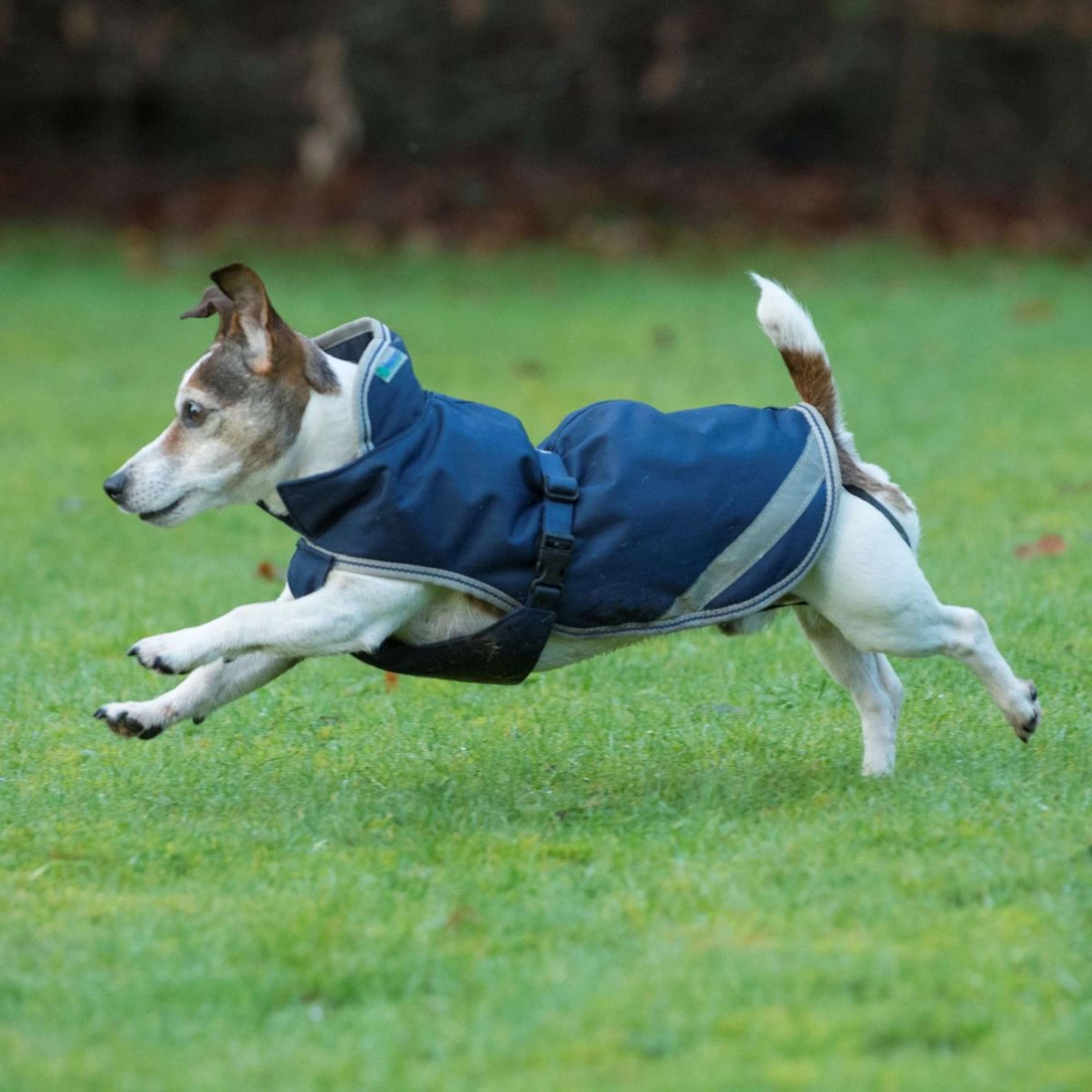 Bucas Freedom Couverture pour Chien 50g Marin