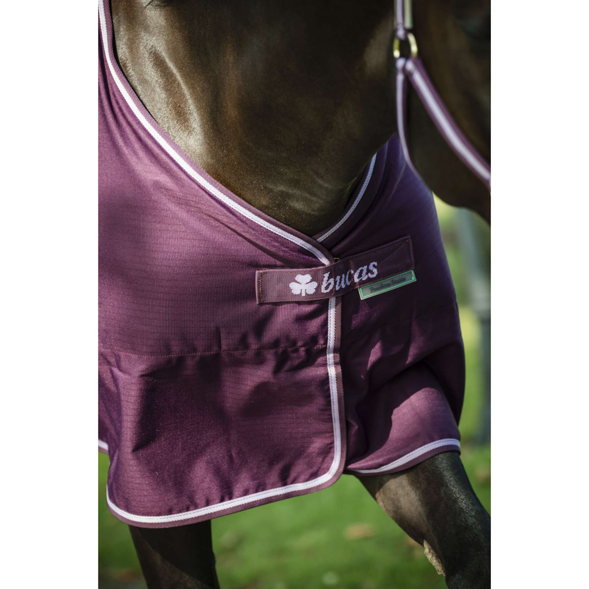Bucas Freedom Couverture d'Écurie 150g Blackberry