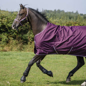 Bucas Freedom Turnout Light 0g Blackberry