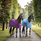 Bucas Freedom Turnout 300g Blueberry