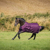 Bucas Freedom Turnout Light 0g Blackberry