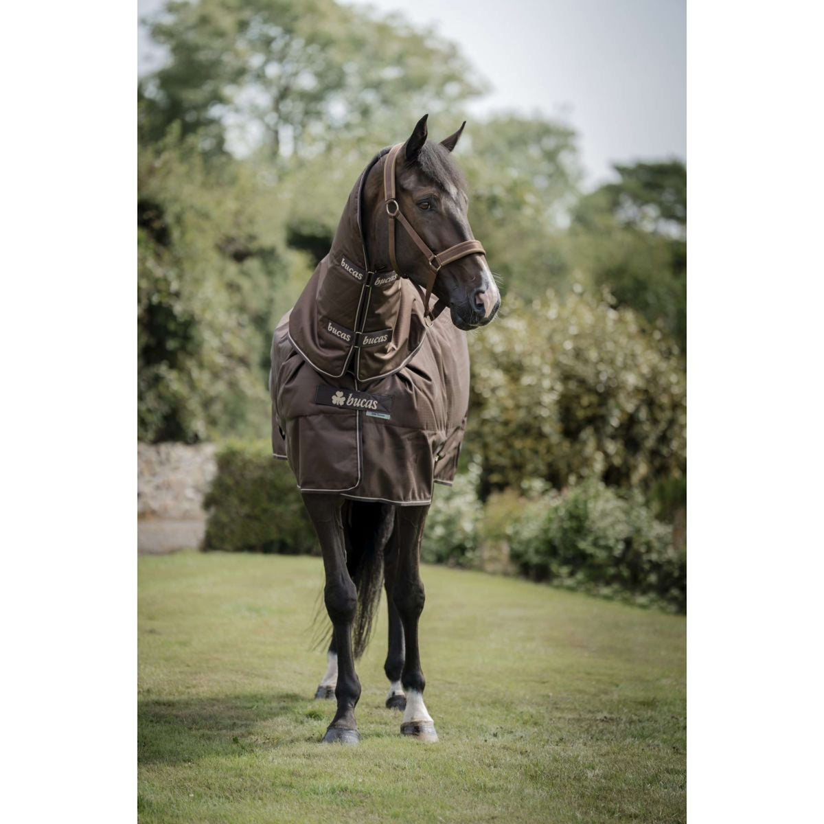 Bucas Irish Turnout 50g + Neck Espresso