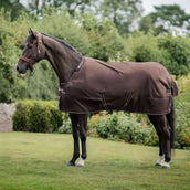 Bucas Irish Turnout 300g avec le cou Espresso