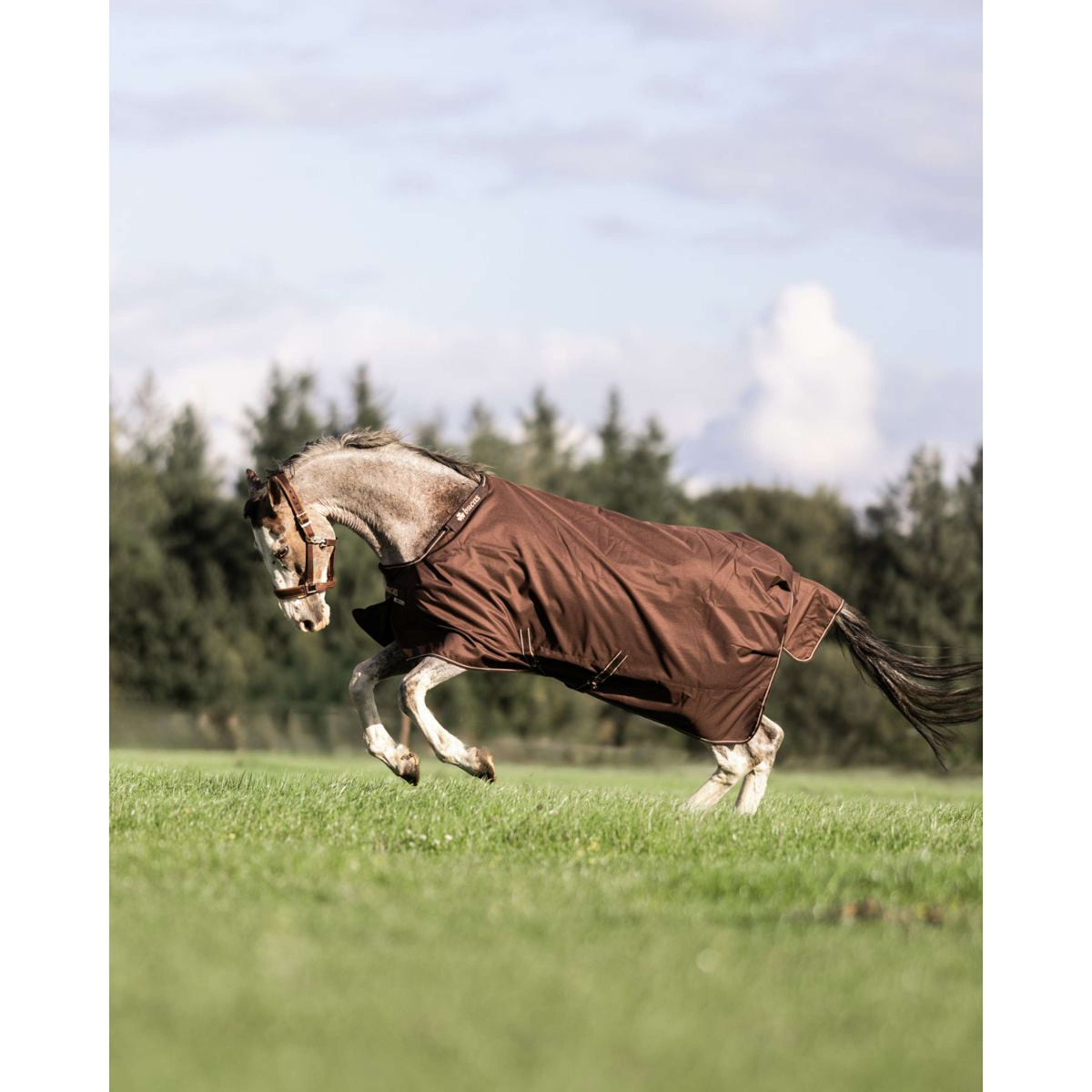 Bucas Irish Turnout 50g + Neck Espresso