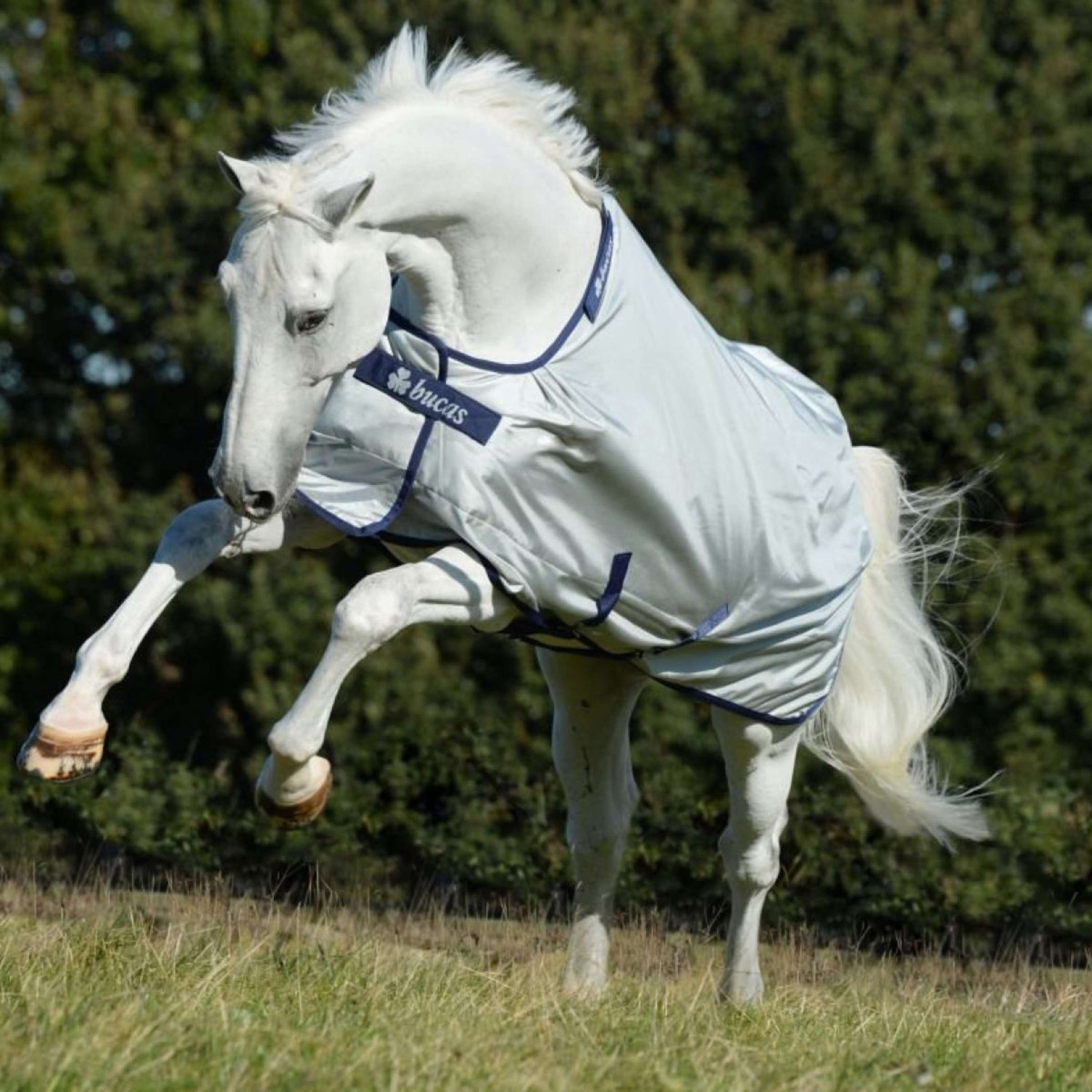 Bucas Turnout Power Medium Argent