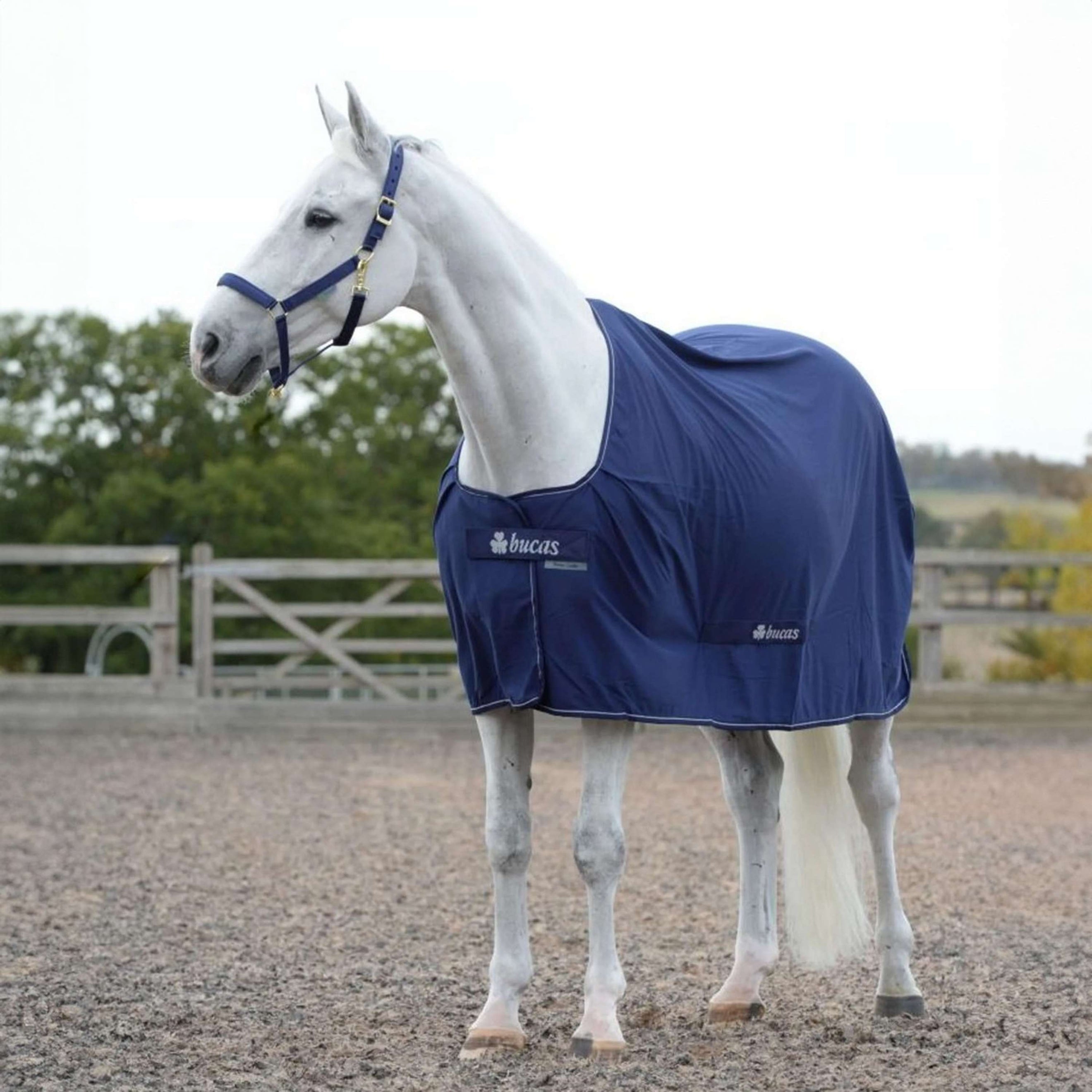 Bucas Power Cooler Marin/Argente Bucas Power Cooler Marin/Argente