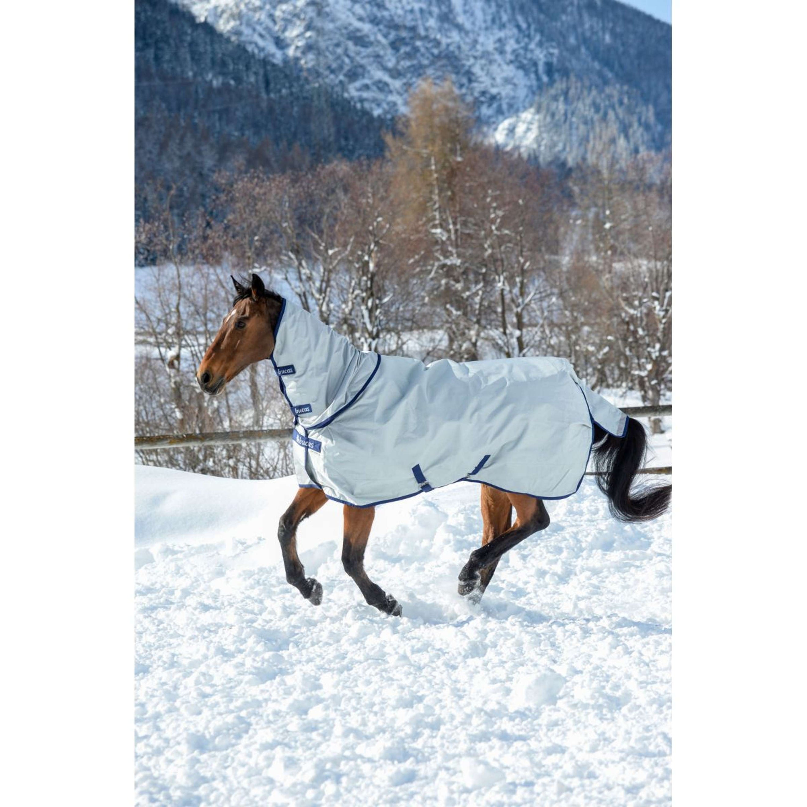 Bucas Couvre-Cou Power Combi Neck 300g Argent