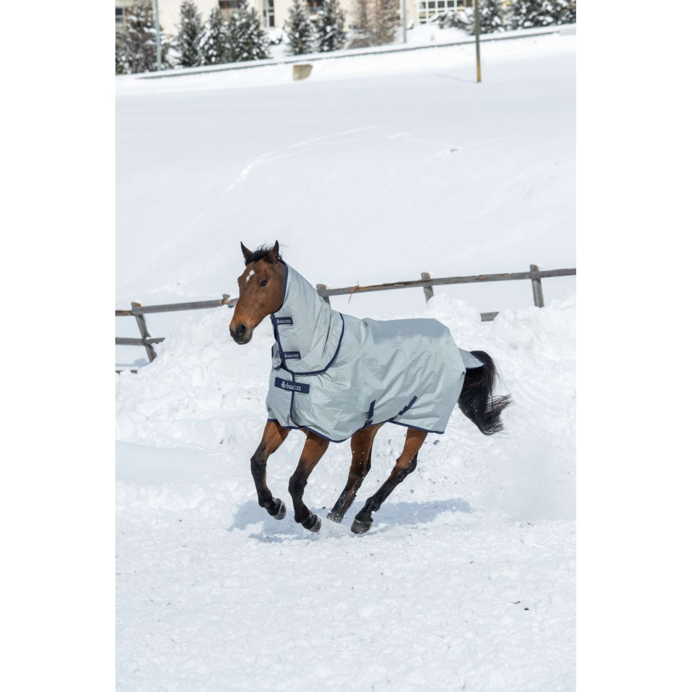 Bucas Couvre-Cou Power Combi Neck 300g Argent Bucas Couvre-Cou Power Combi Neck 300g Argent