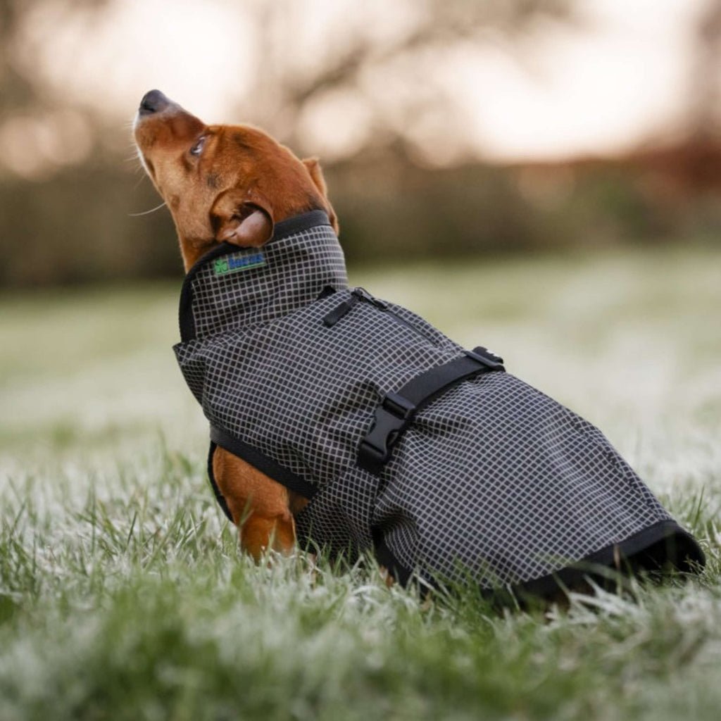 Bucas Tapis pour Chien Reflectglow Reflectglow