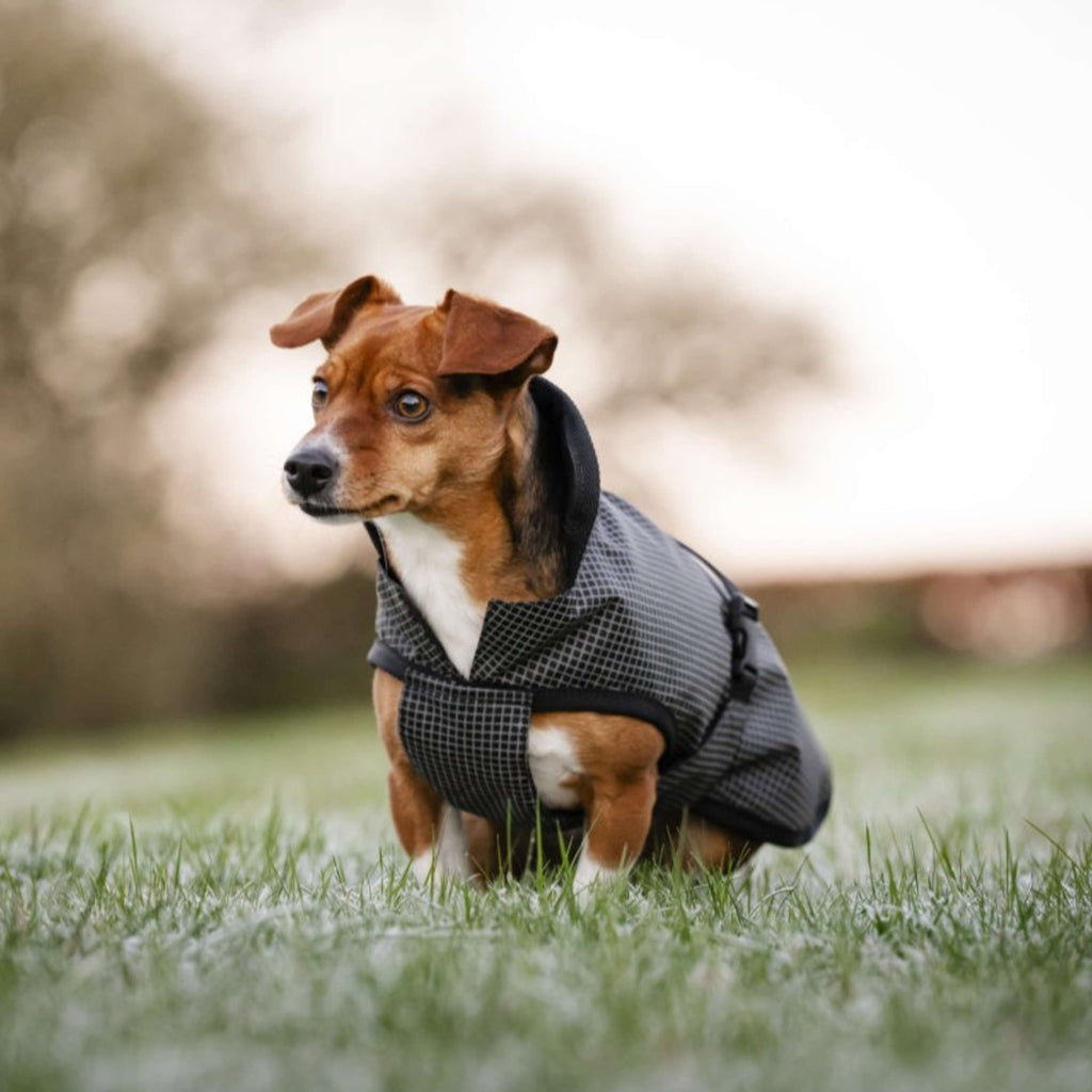 Bucas Tapis pour Chien Reflectglow Reflectglow