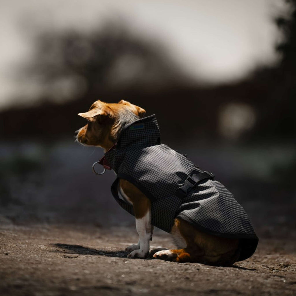 Bucas Tapis pour Chien Reflectglow Reflectglow