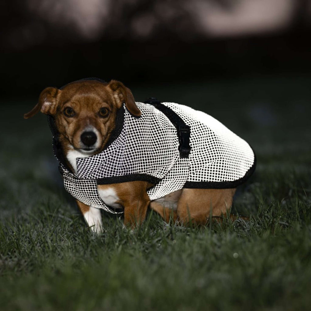 Bucas Tapis pour Chien Reflectglow Reflectglow