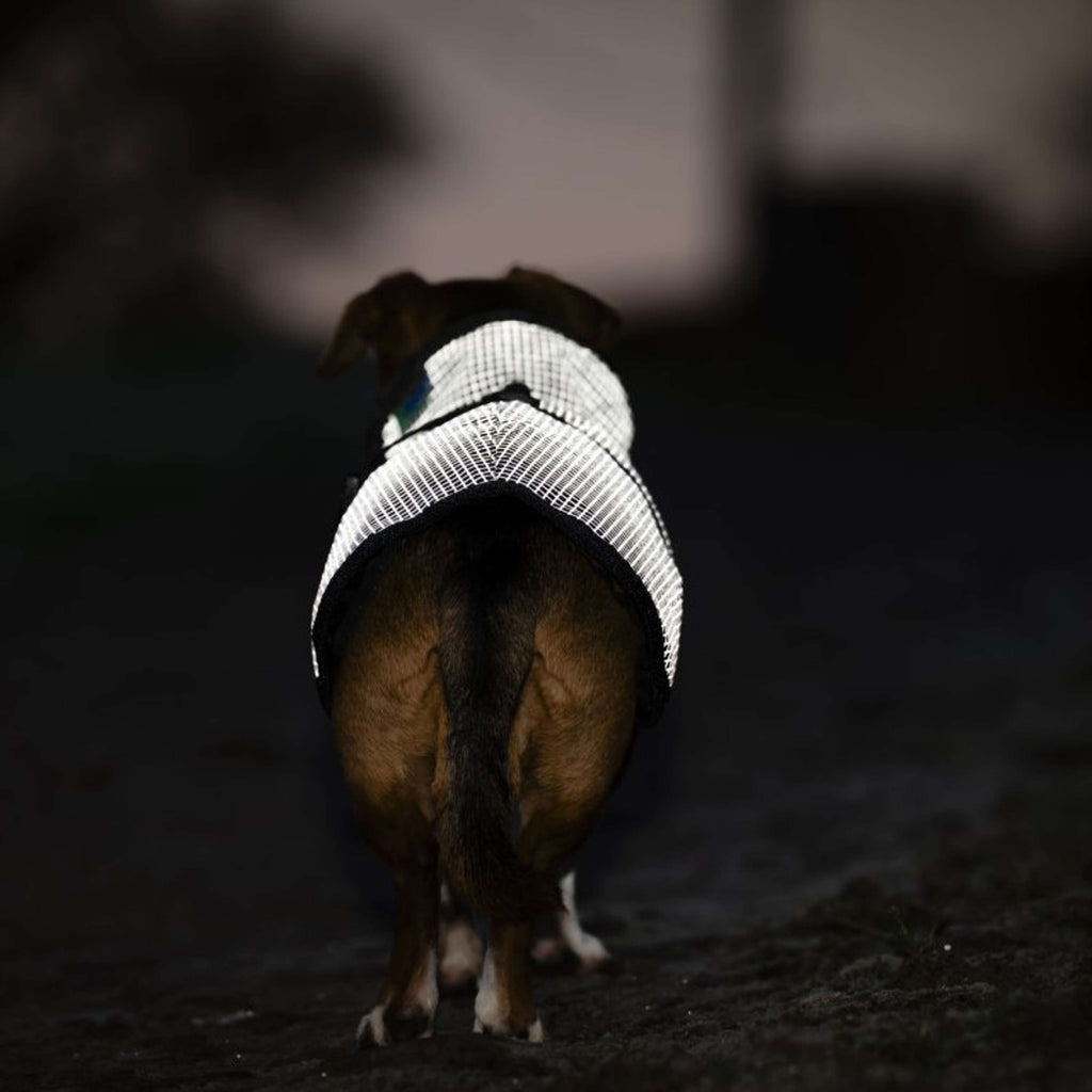 Bucas Tapis pour Chien Reflectglow Reflectglow