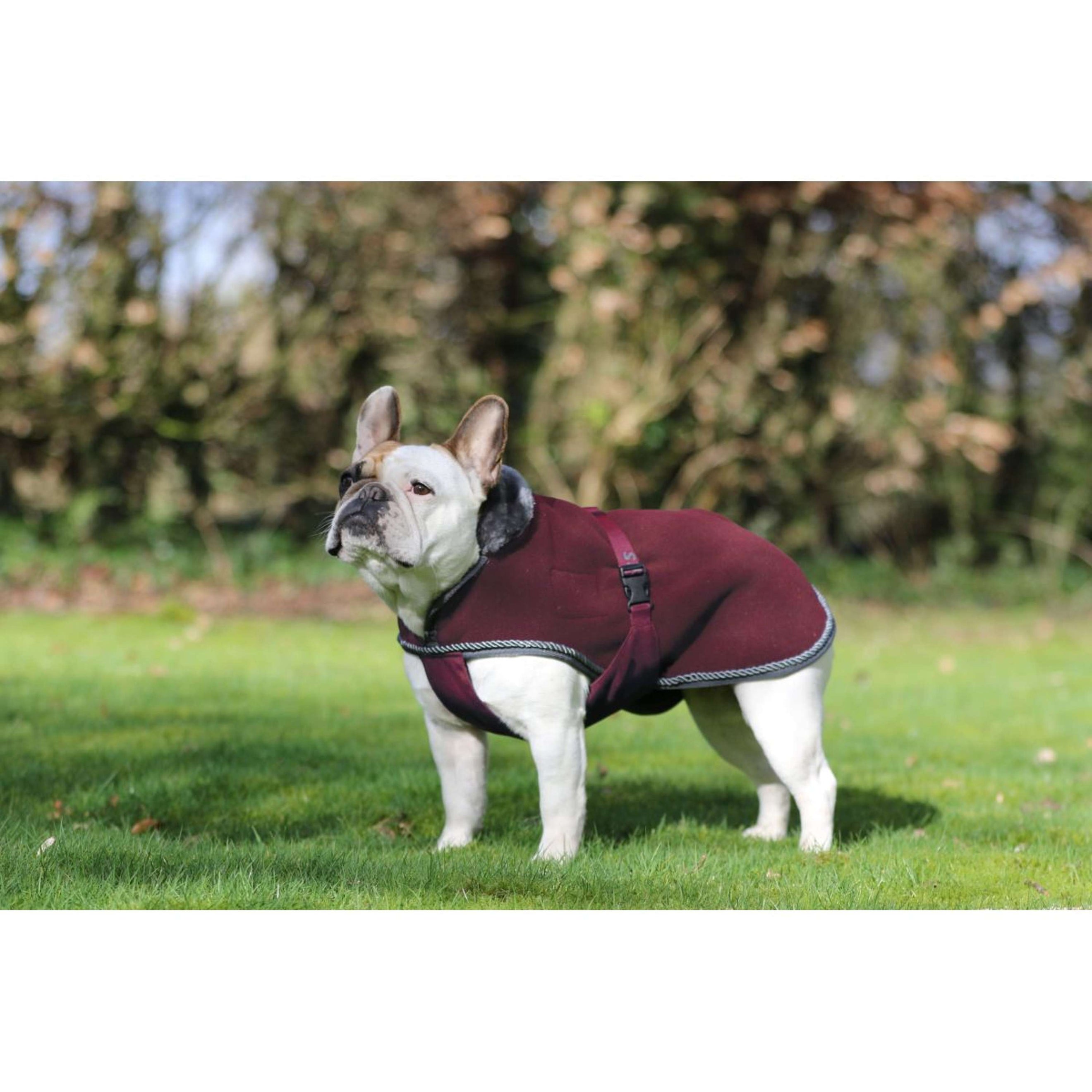 Bucas Couverture pour Chien Show-Line Burgundy/Gris Bucas Couverture pour Chien Show-Line Burgundy/Gris
