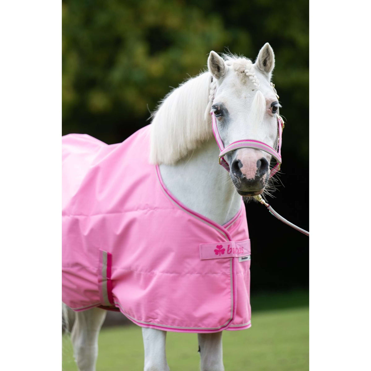 Bucas Lead Rein Dublin Padded Aurora Pink