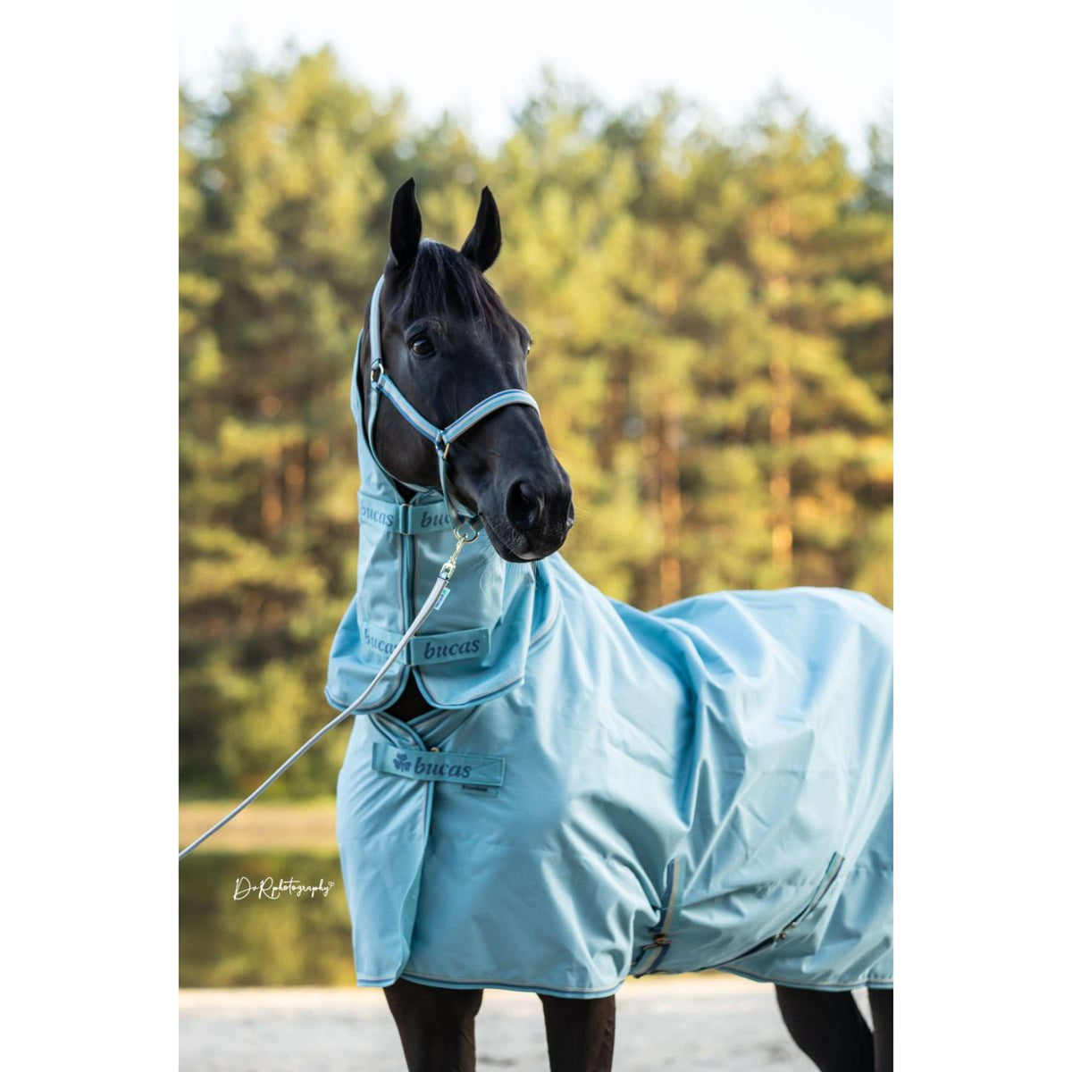 Bucas Freedom Turnout Full Neck 0g Turquoise