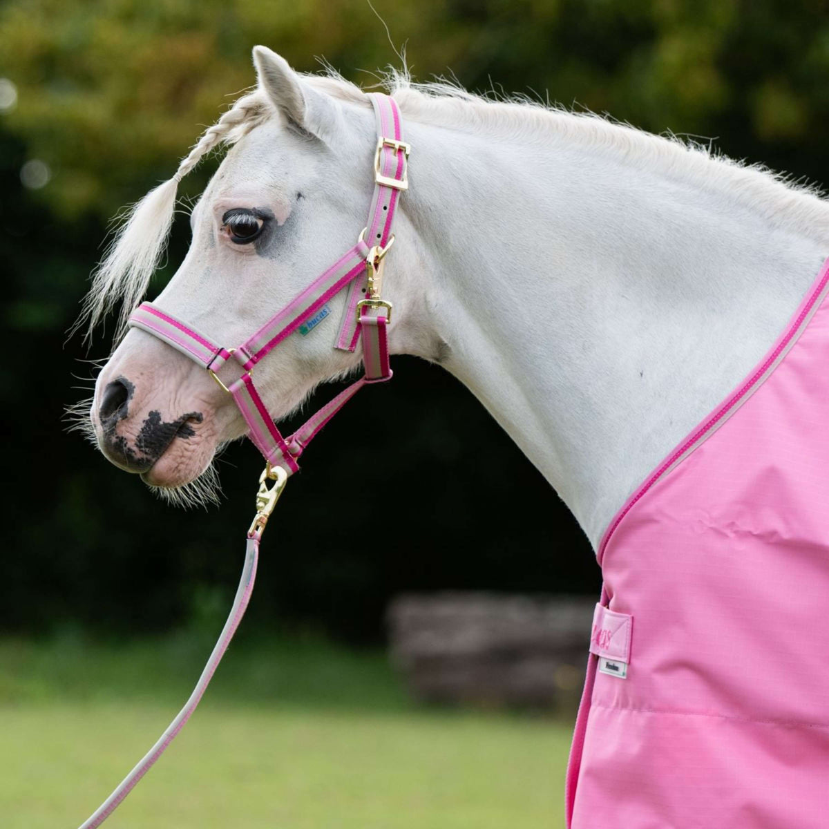 Bucas Lead Rein Dublin Padded Aurora Pink