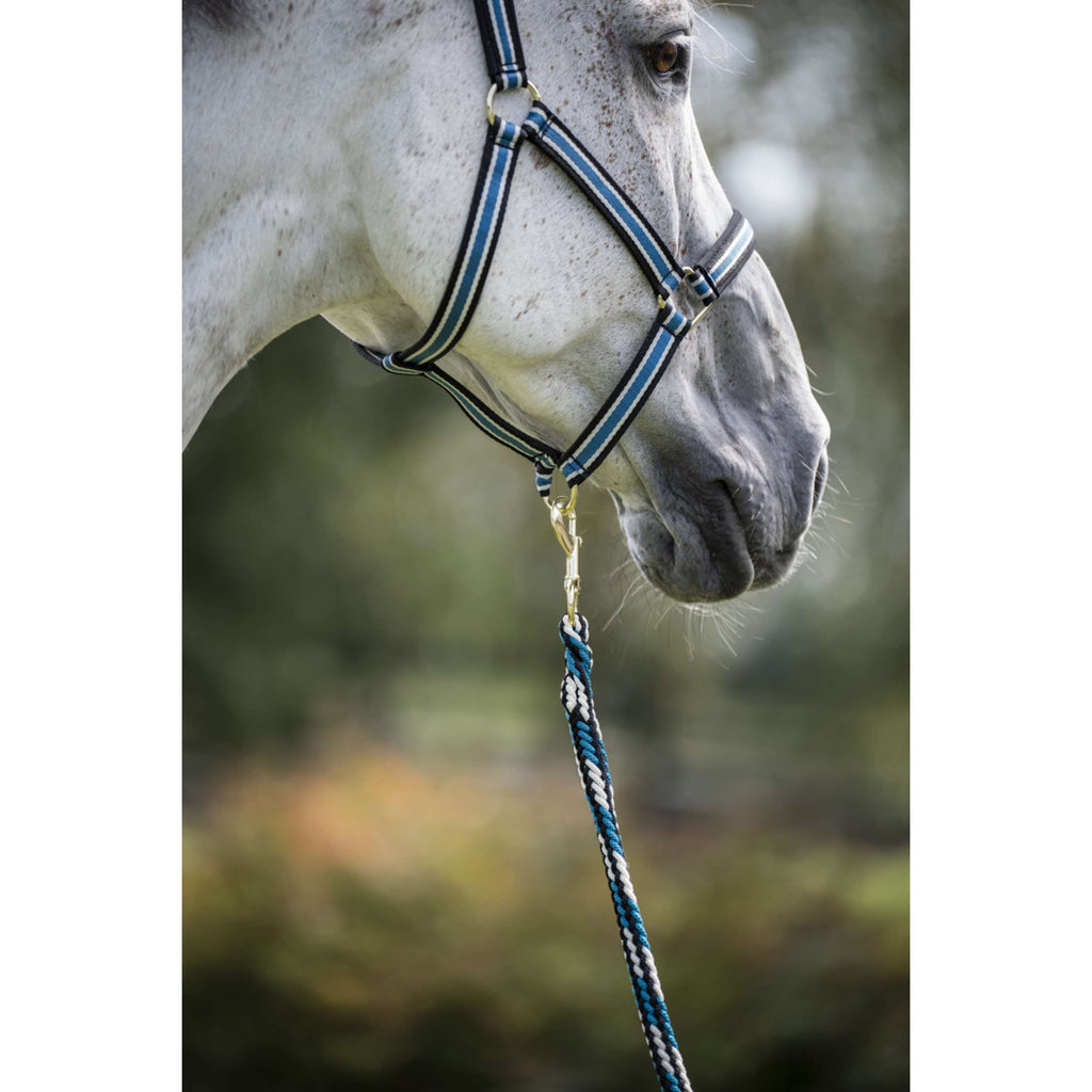 Bucas Corde pour Licol Comfort avec Mousqueton Sapphire