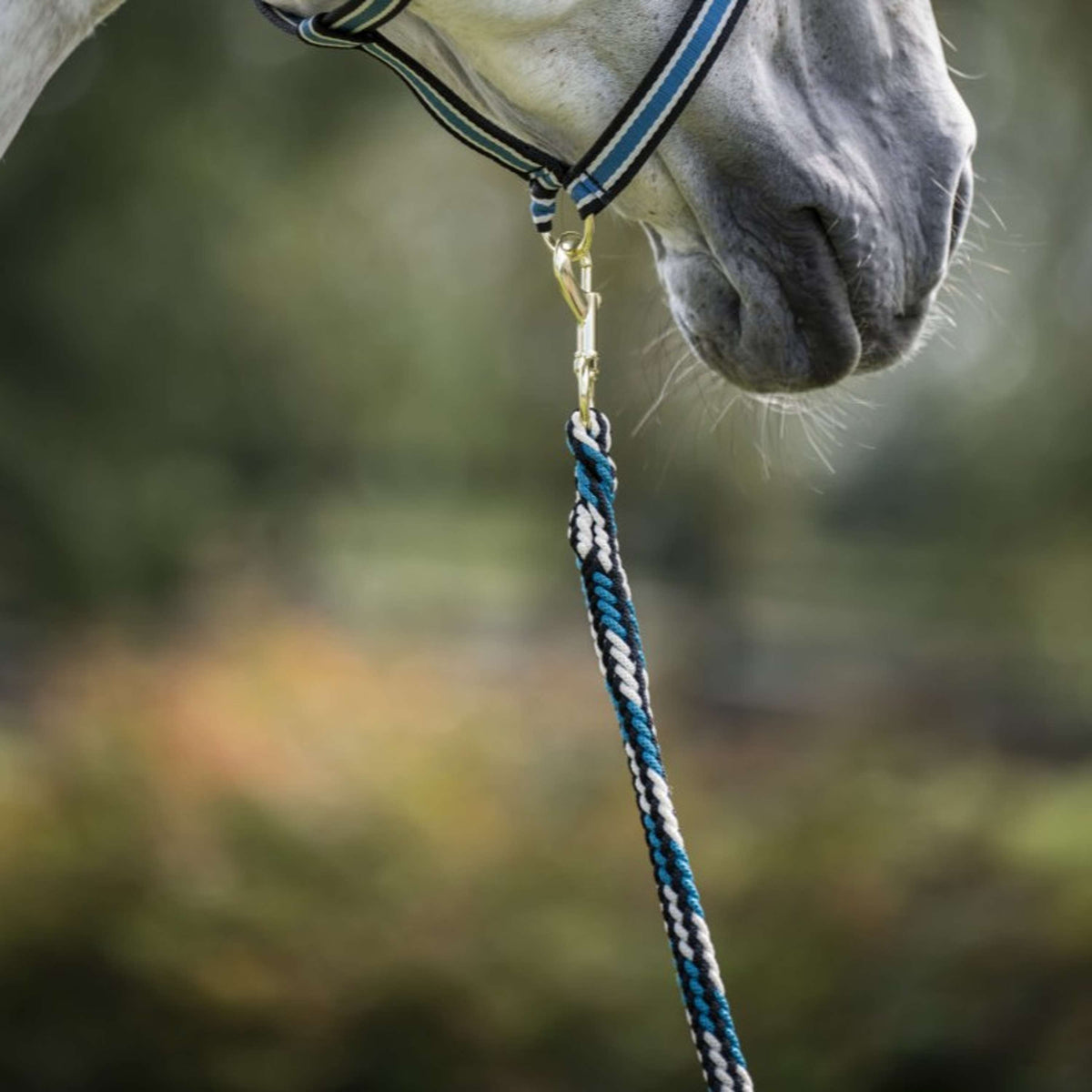 Bucas Corde pour Licol Comfort avec Mousqueton Sapphire