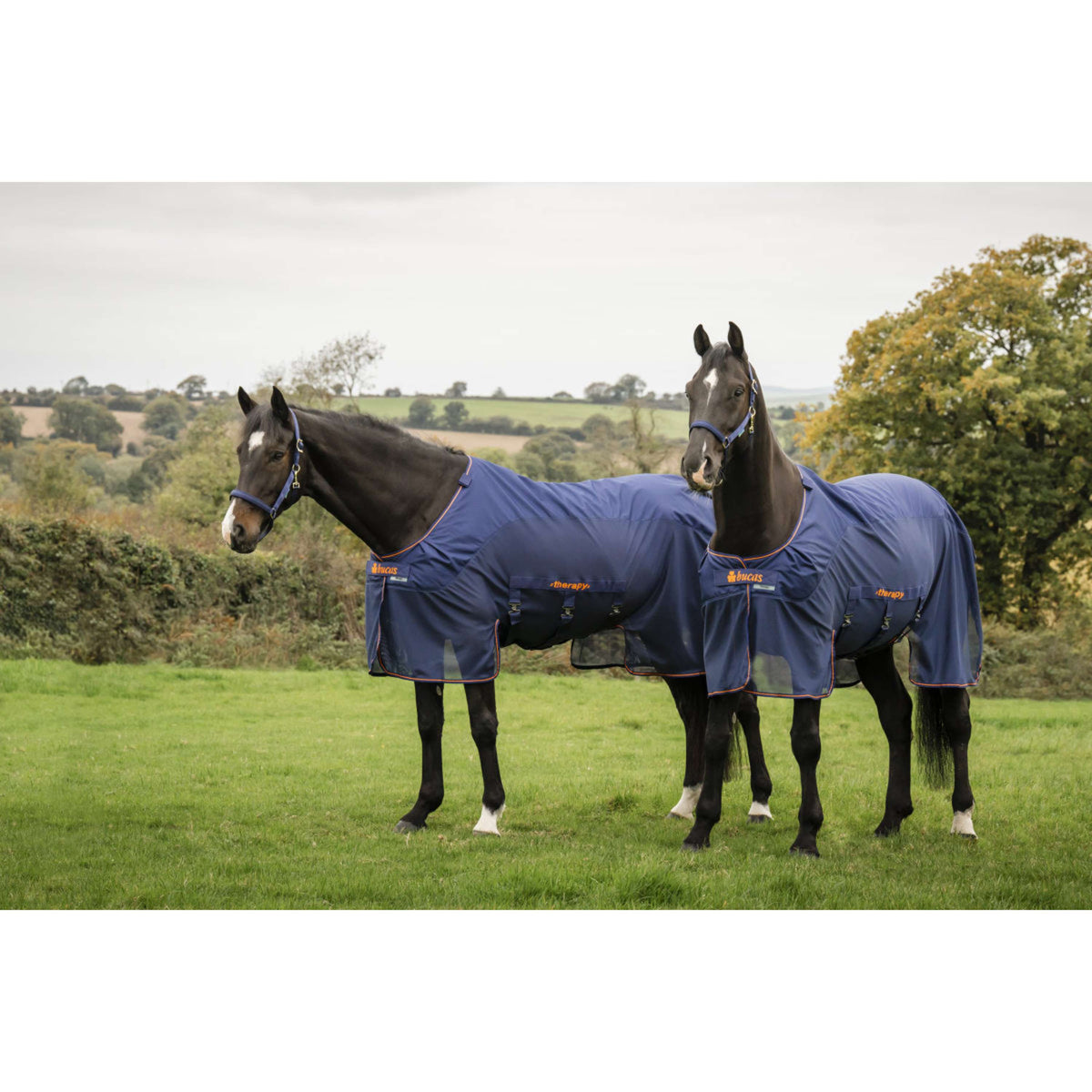 Bucas Therapy X-Range Rain Bleu Marine/Orange