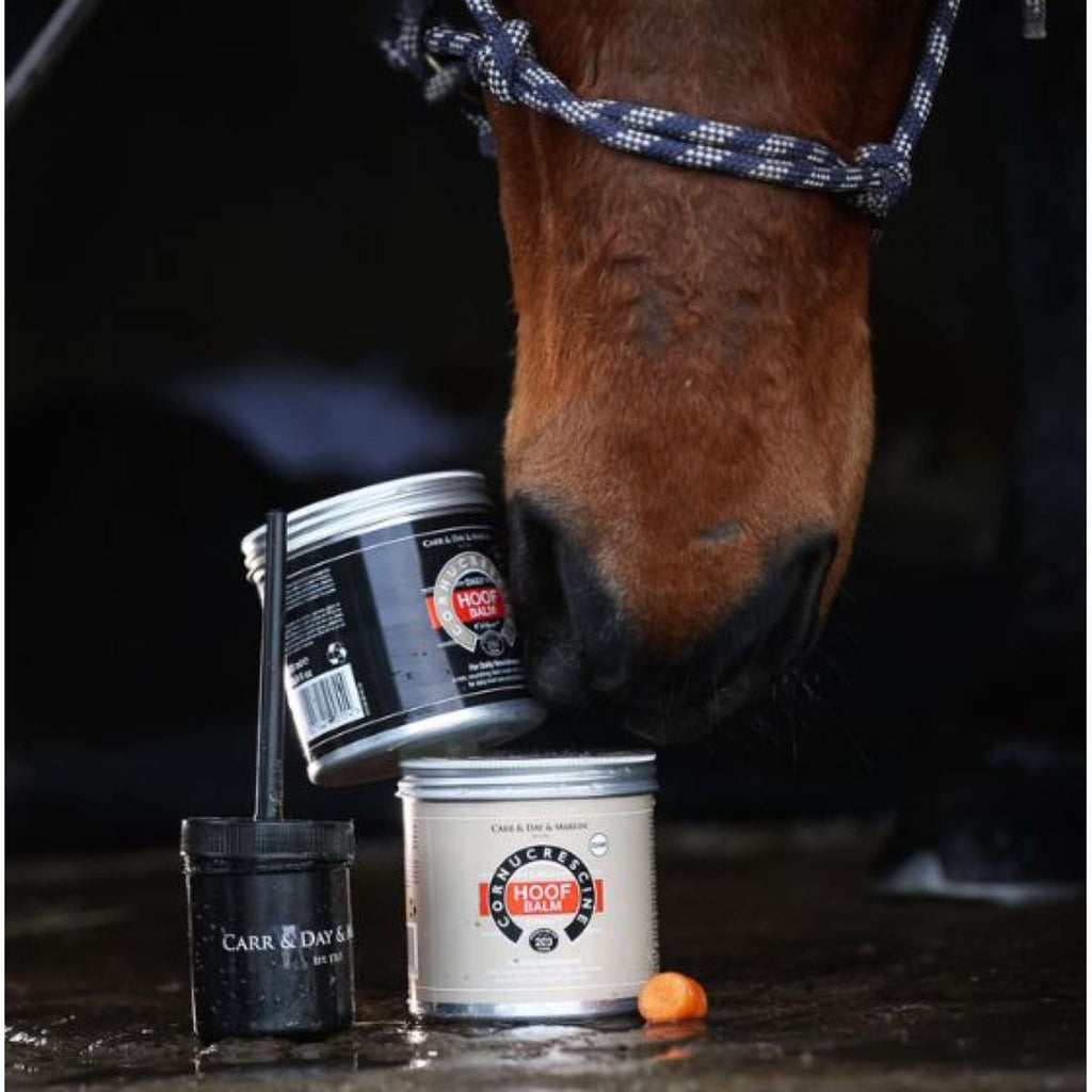 Carr & Day & Martin Cornucrescine Hoof Balm