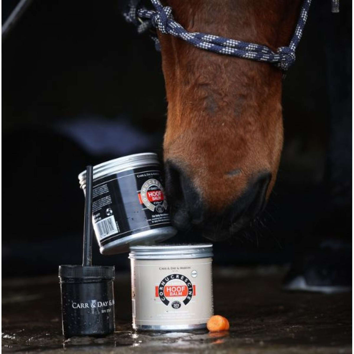 Carr & Day & Martin Cornucrescine Hoof Balm