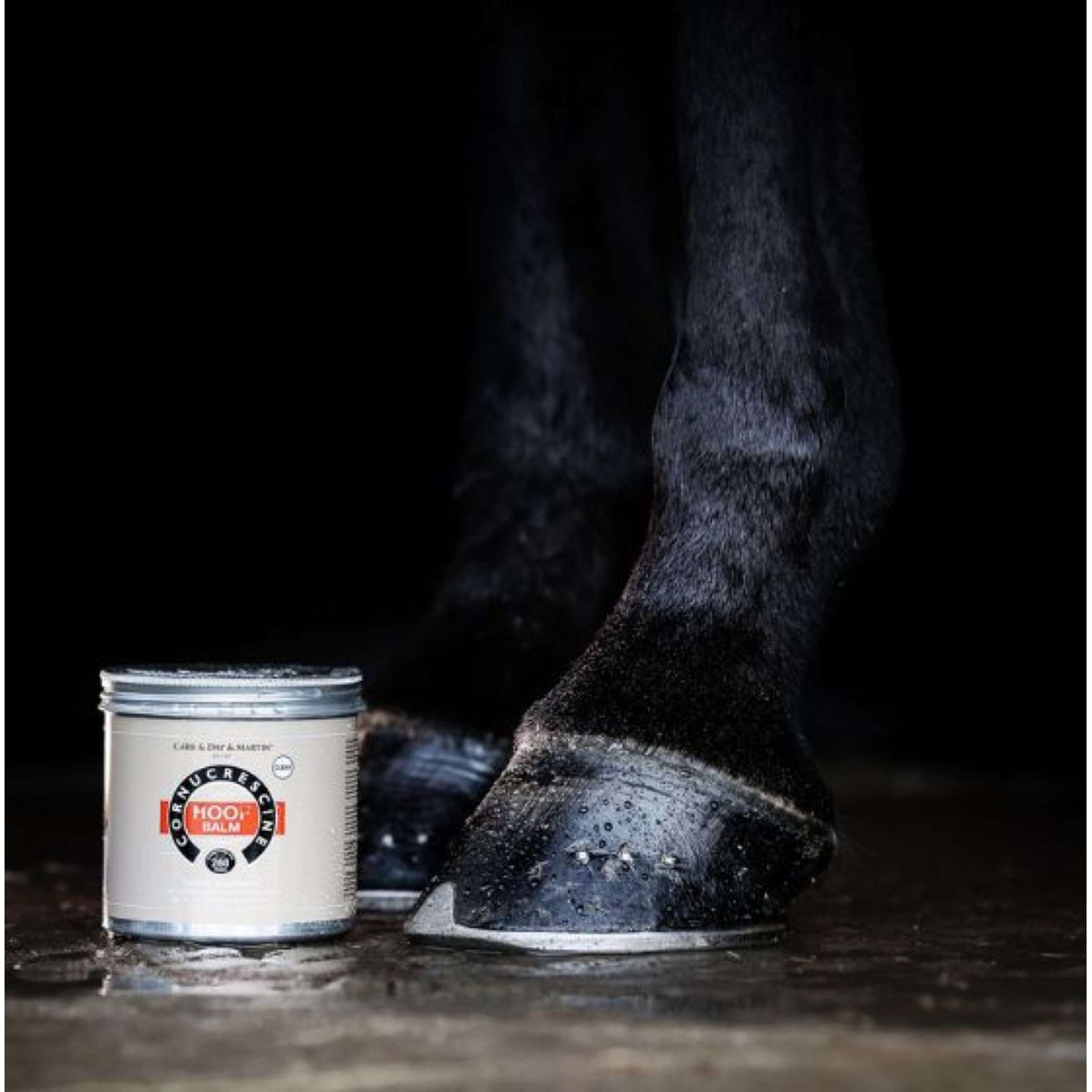 Carr & Day & Martin Cornucrescine Hoof Balm