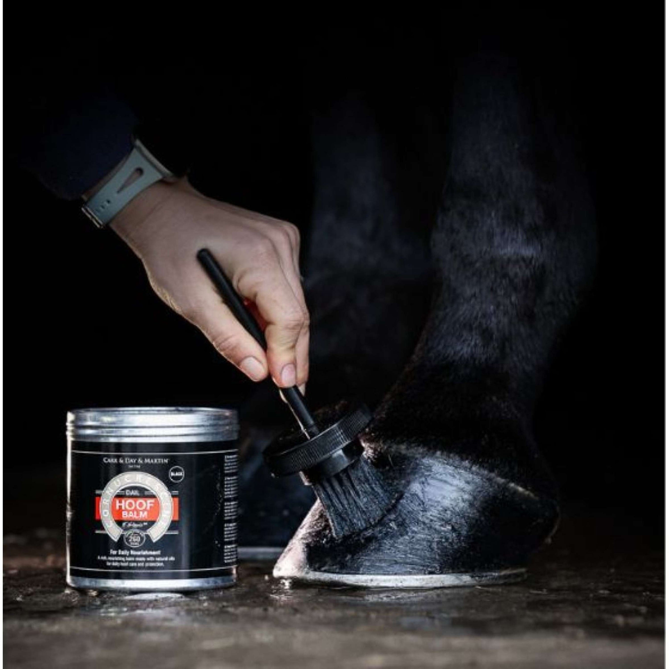 Carr & Day & Martin Cornucrescine Hoof Balm Carr & Day & Martin Cornucrescine Hoof Balm