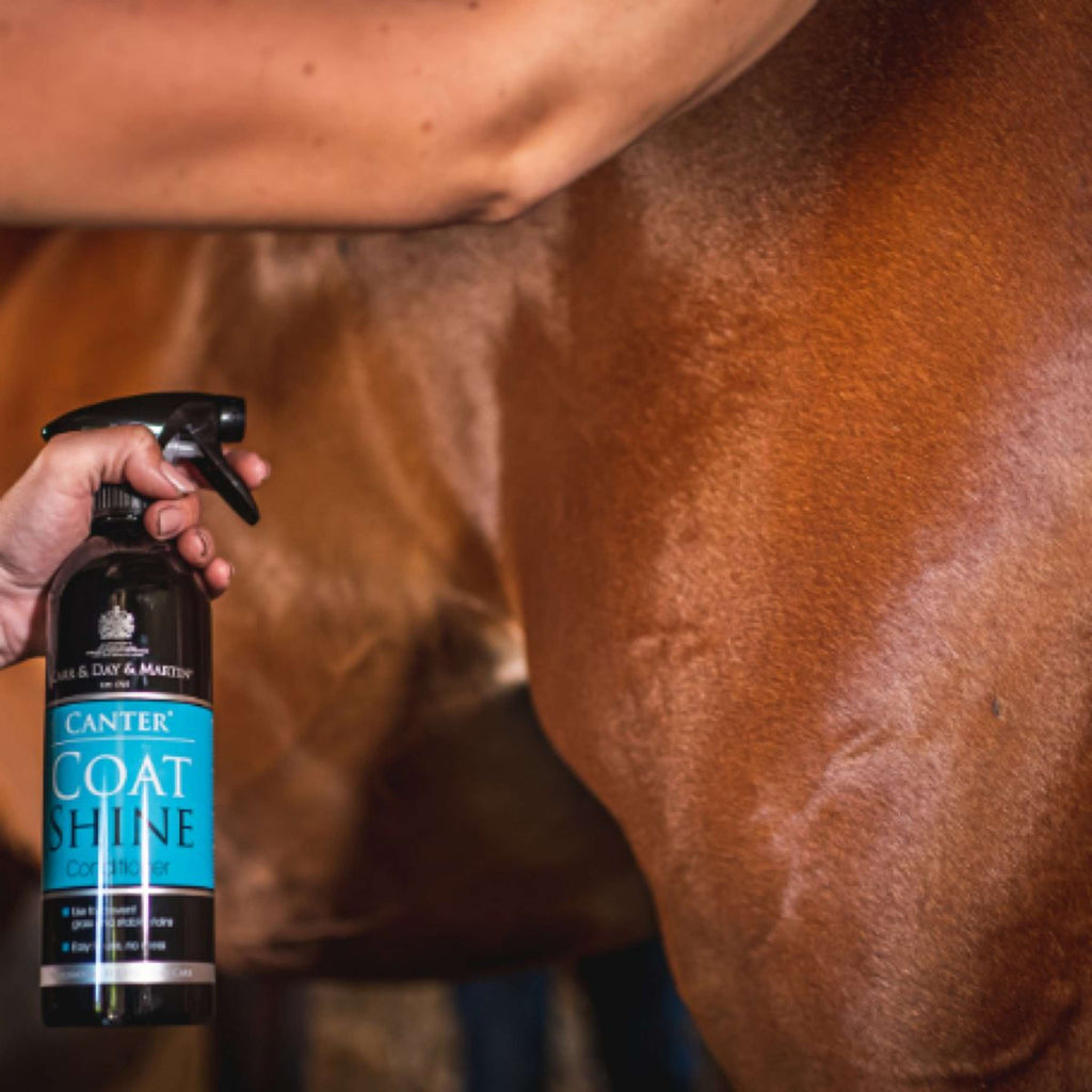 Carr & Day & Martin Spray Lustrant Canter Coat Shine