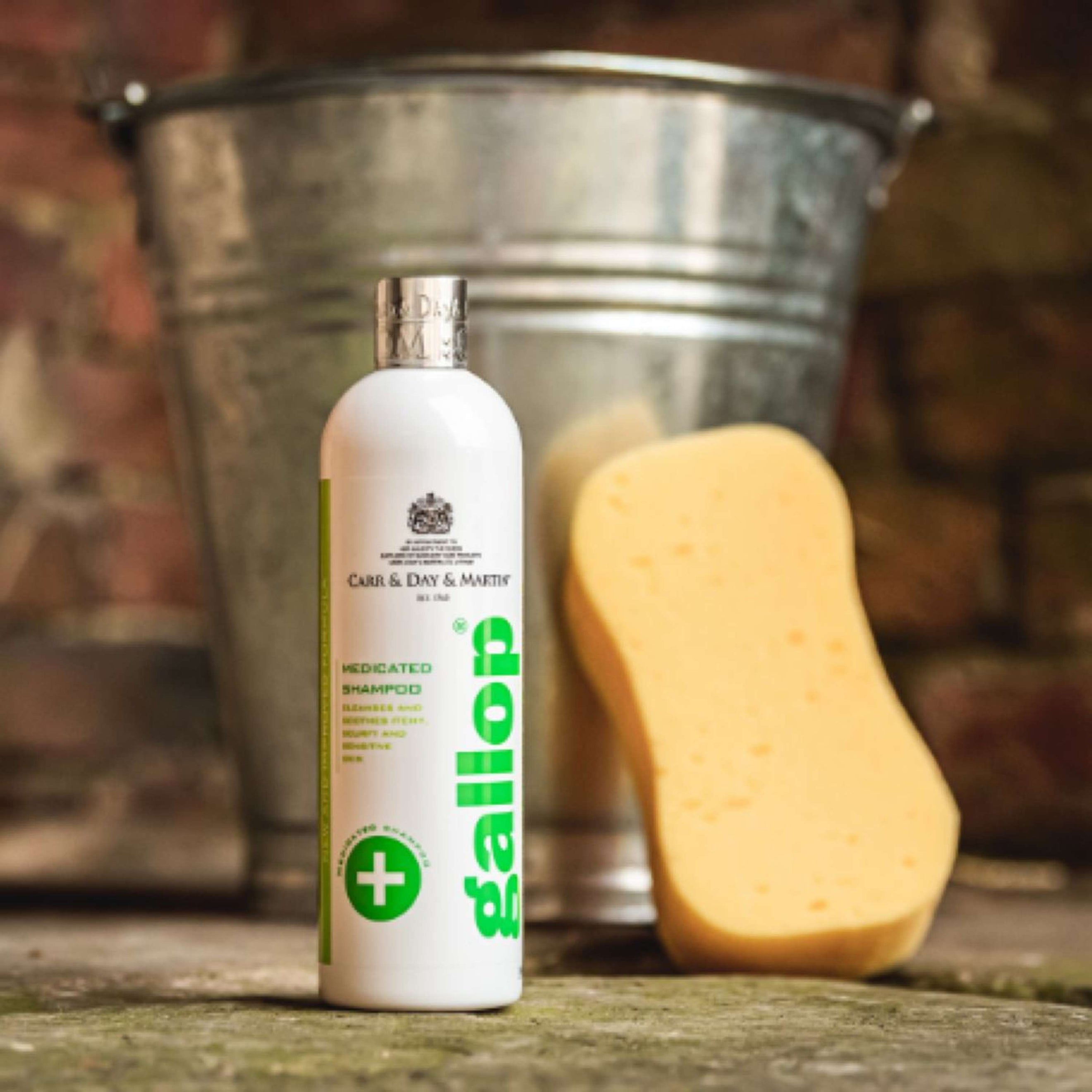 Carr & Day & Martin Shampoo Medicated Skin