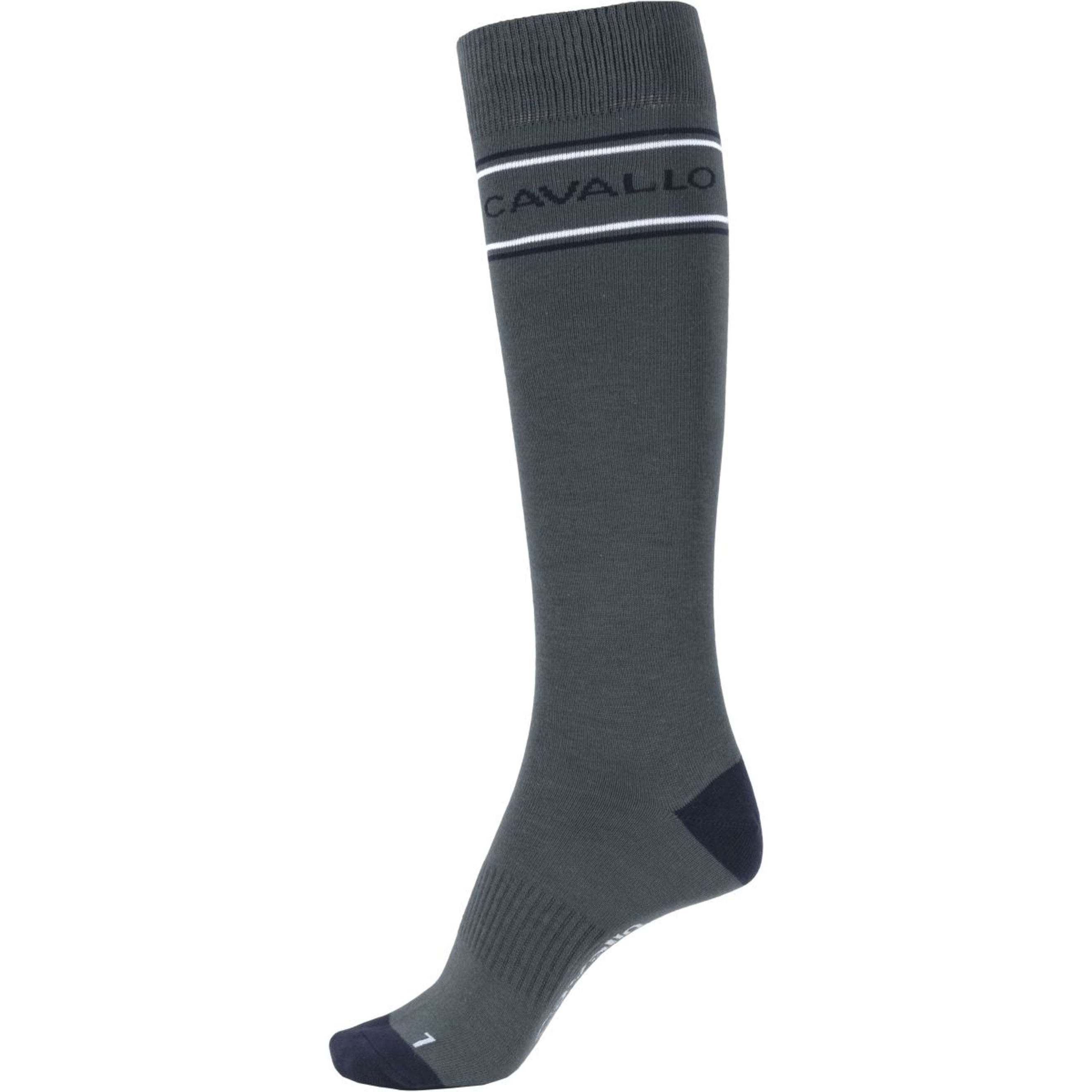 Cavallo Chaussettes CavalSyke Stripe Logo Silver Pine