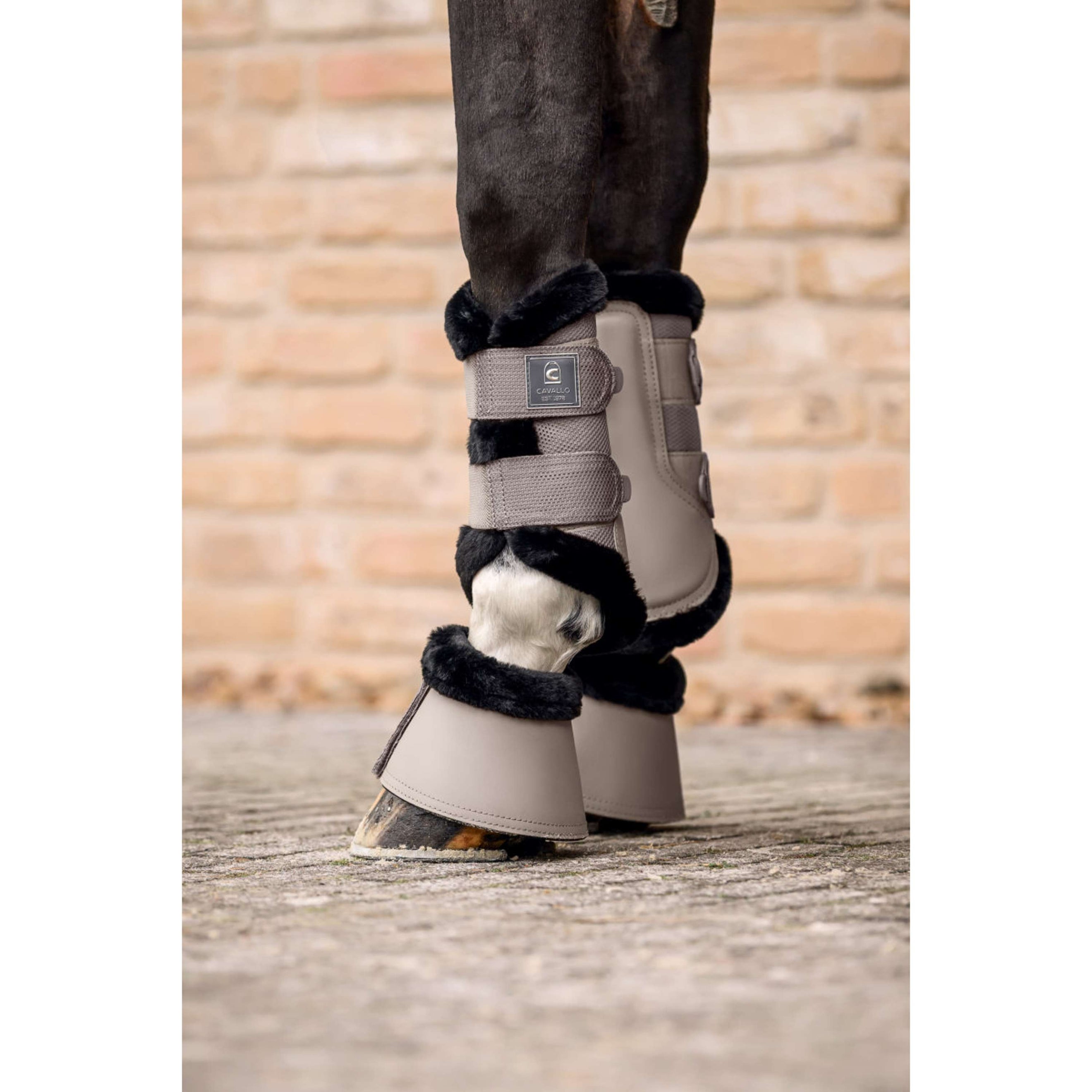 Cavallo Cloches d'Obstacles CavalJodi Latte