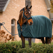 Cavallo Licol CavalJero avec Fourrure Dark Peacock
