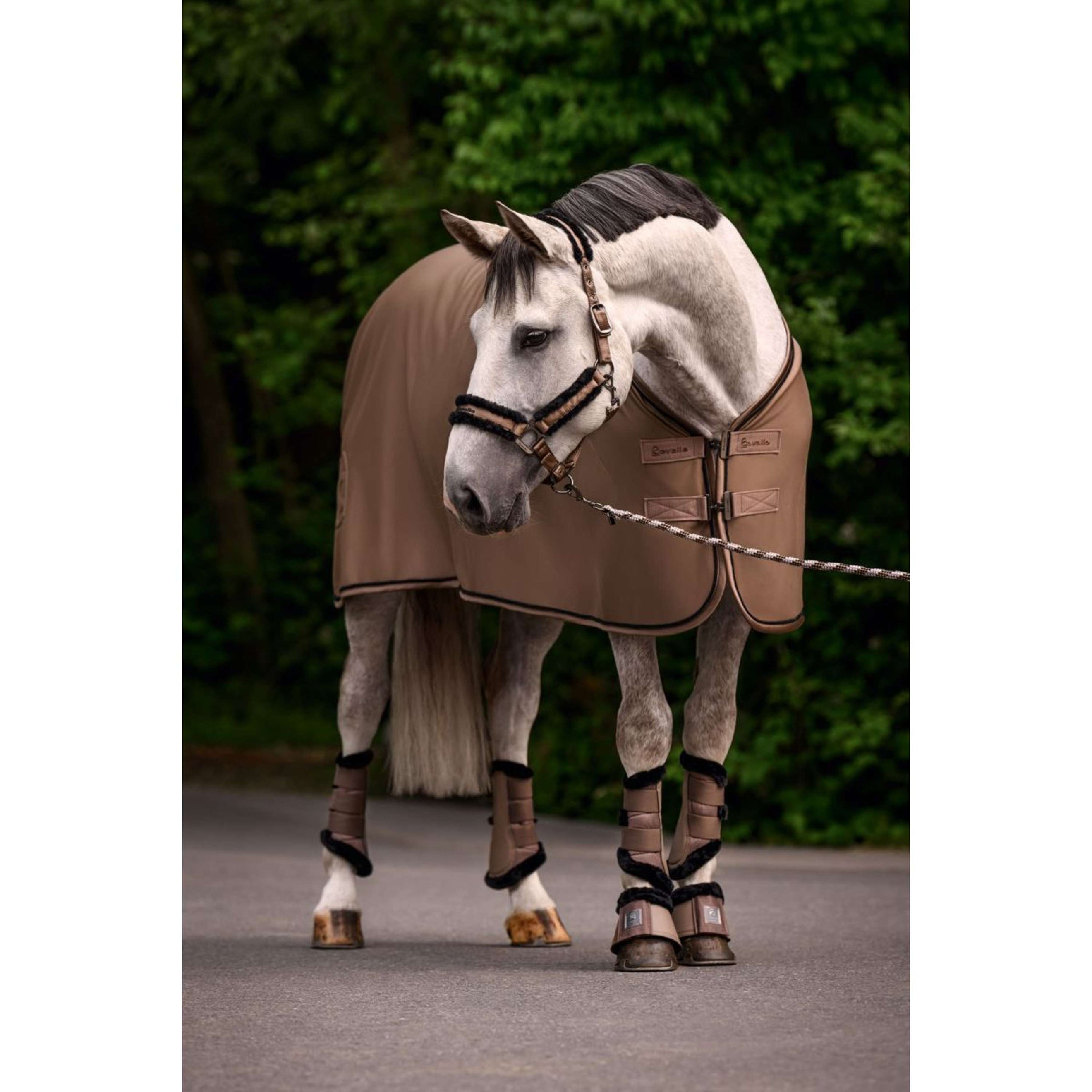 Cavallo Couverture Polaire CavalQuick Dry Cooler Mocha Latte Cavallo Couverture Polaire CavalQuick Dry Cooler Mocha Latte