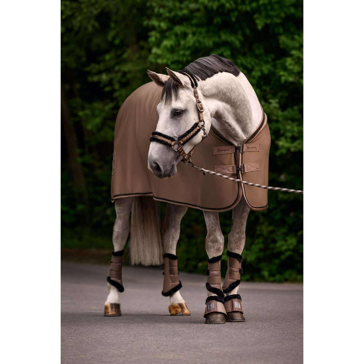 Cavallo Couverture Polaire CavalQuick Dry Cooler Mocha Latte