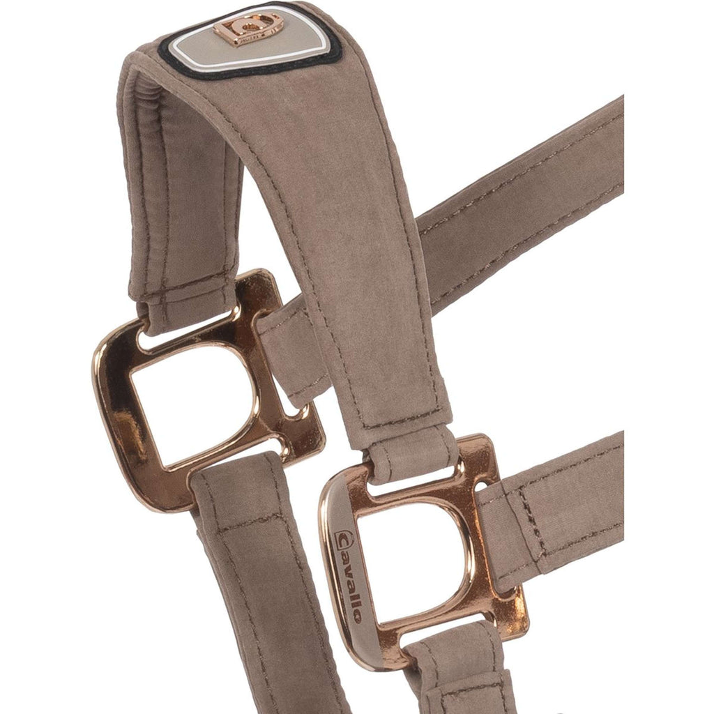 Cavallo Licol CavalPawel Mocha Latte