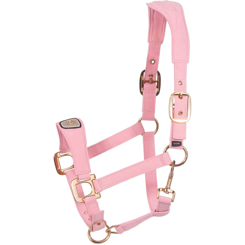 Cavallo Licol CavalPawel Powder Pink