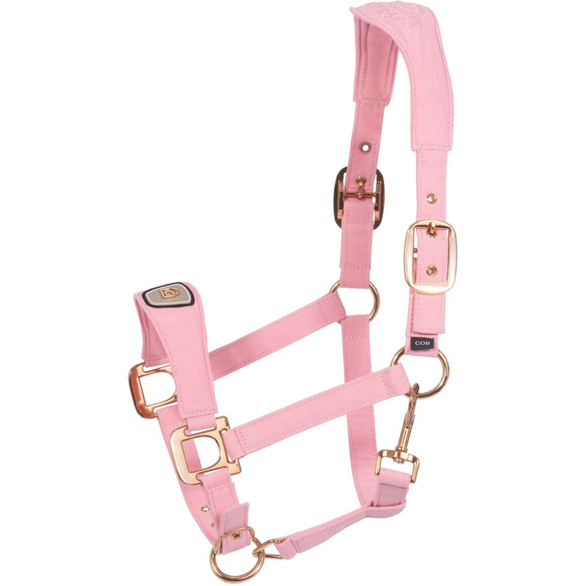 Cavallo Licol CavalPawel Powder Pink