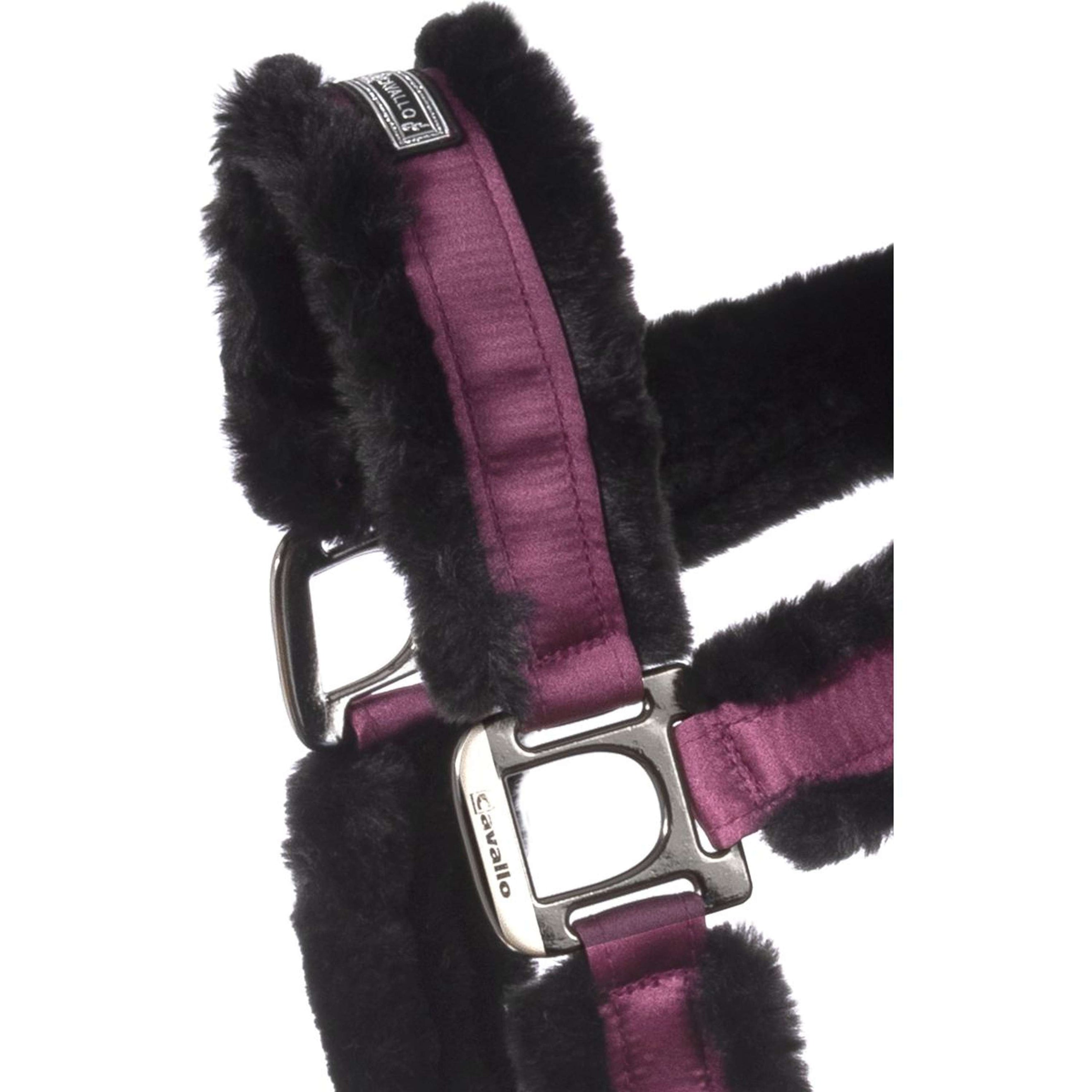 Cavallo Licol CavalJuno Dusty Violet