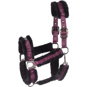 Cavallo Licol CavalJuno Dusty Violet