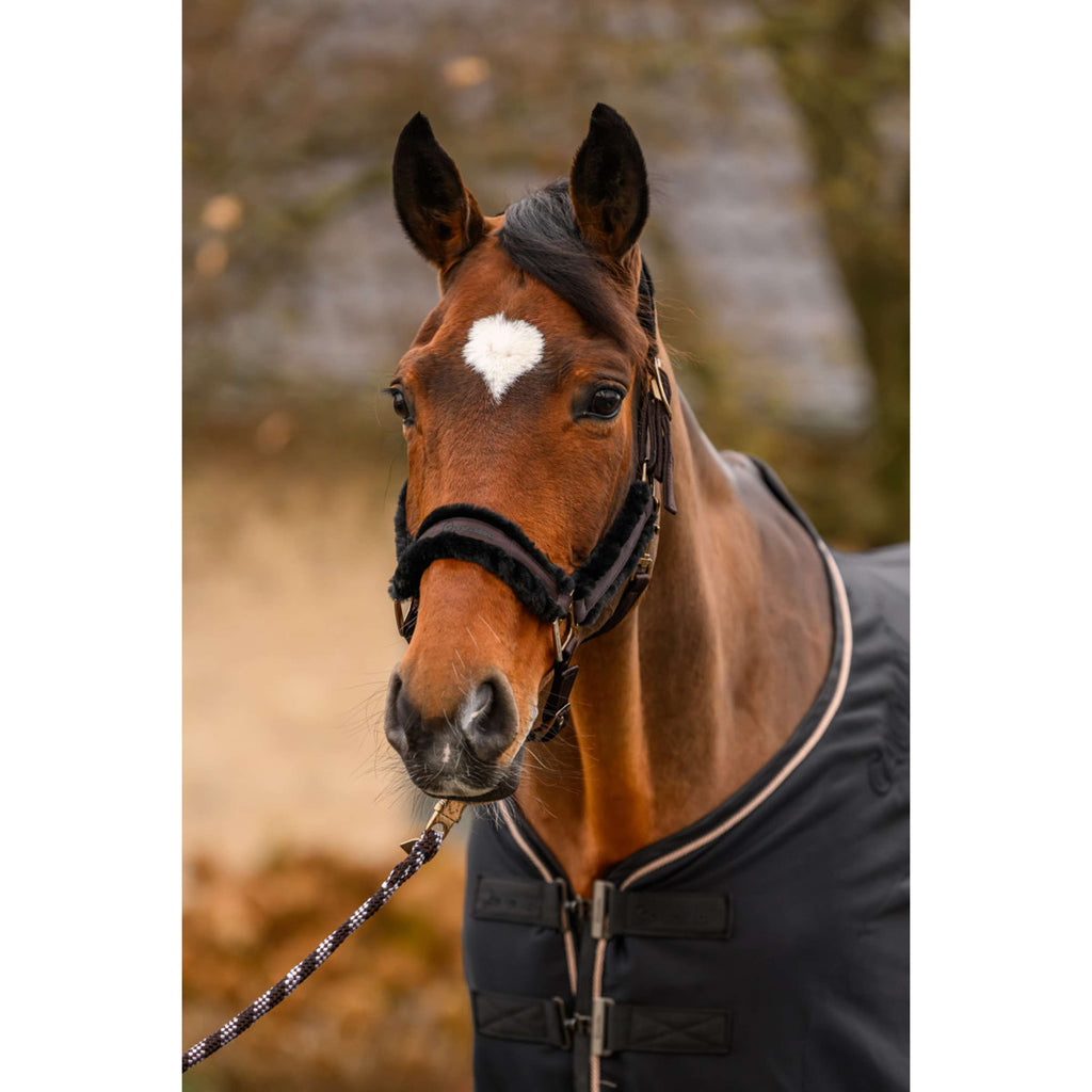 Cavallo Licol CavalJero avec Fourrure Café Noir