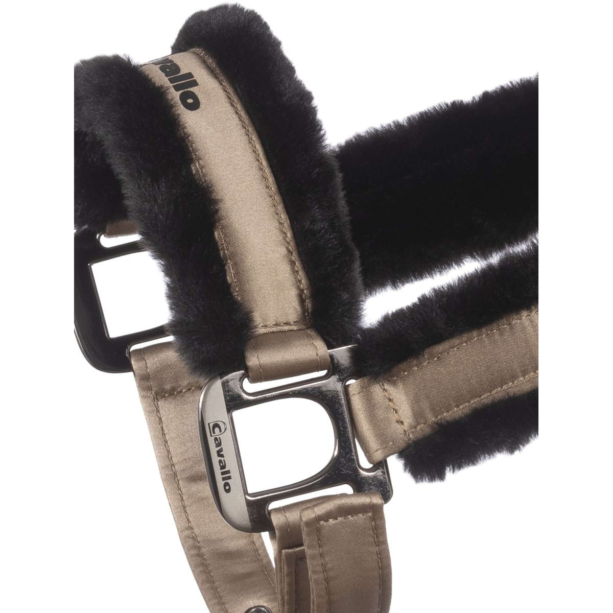 Cavallo Licol Cavaljero Biscuit