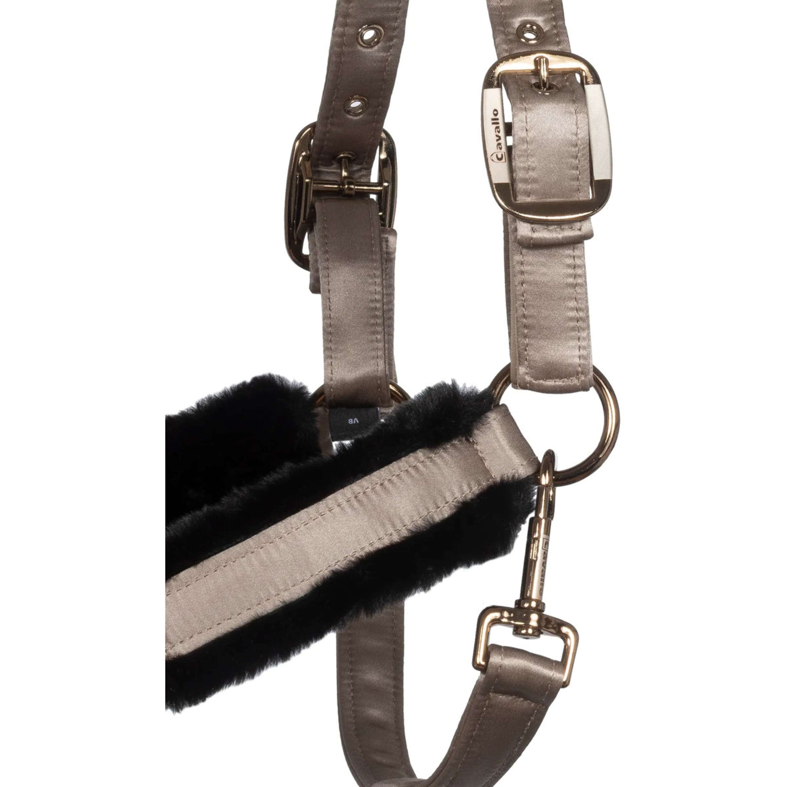 Cavallo Licol CavalJero avec Fourrure Latte