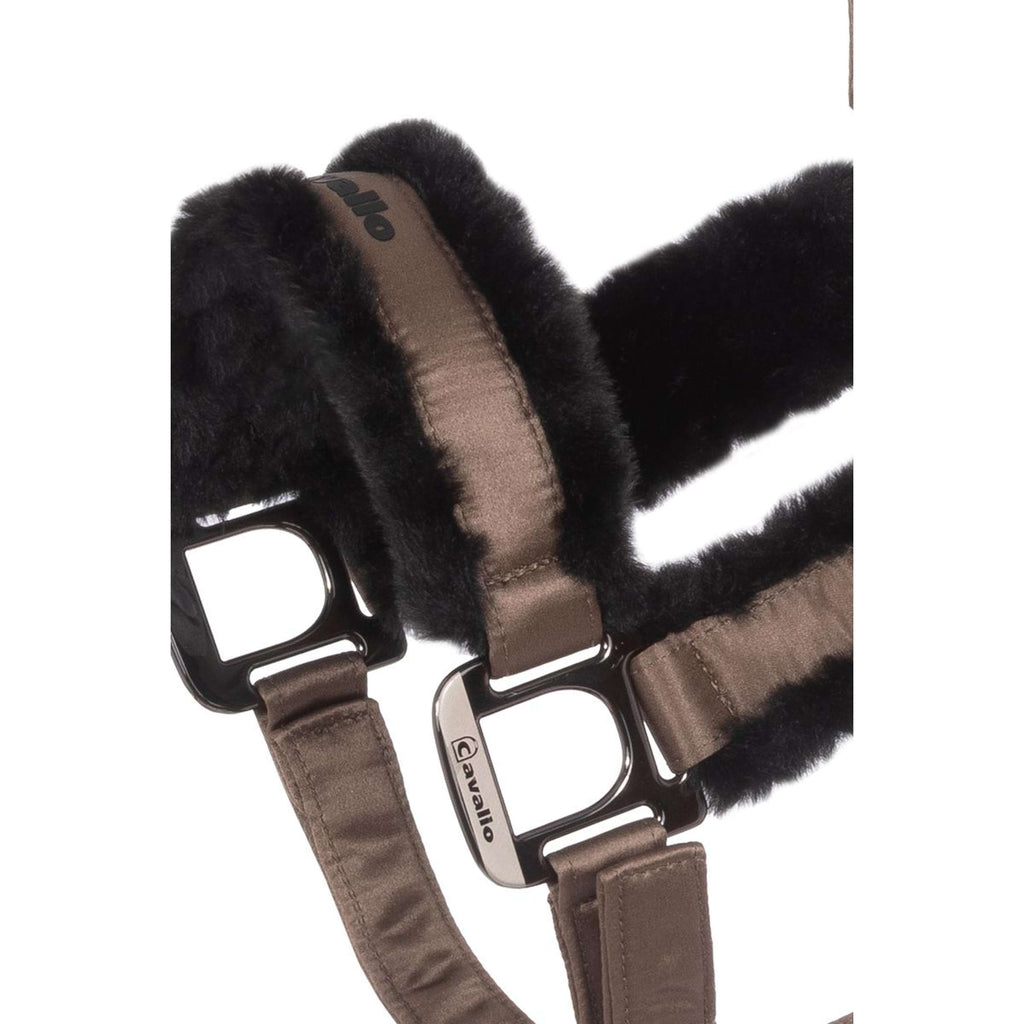 Cavallo Licol CavalJero Mocha Latte