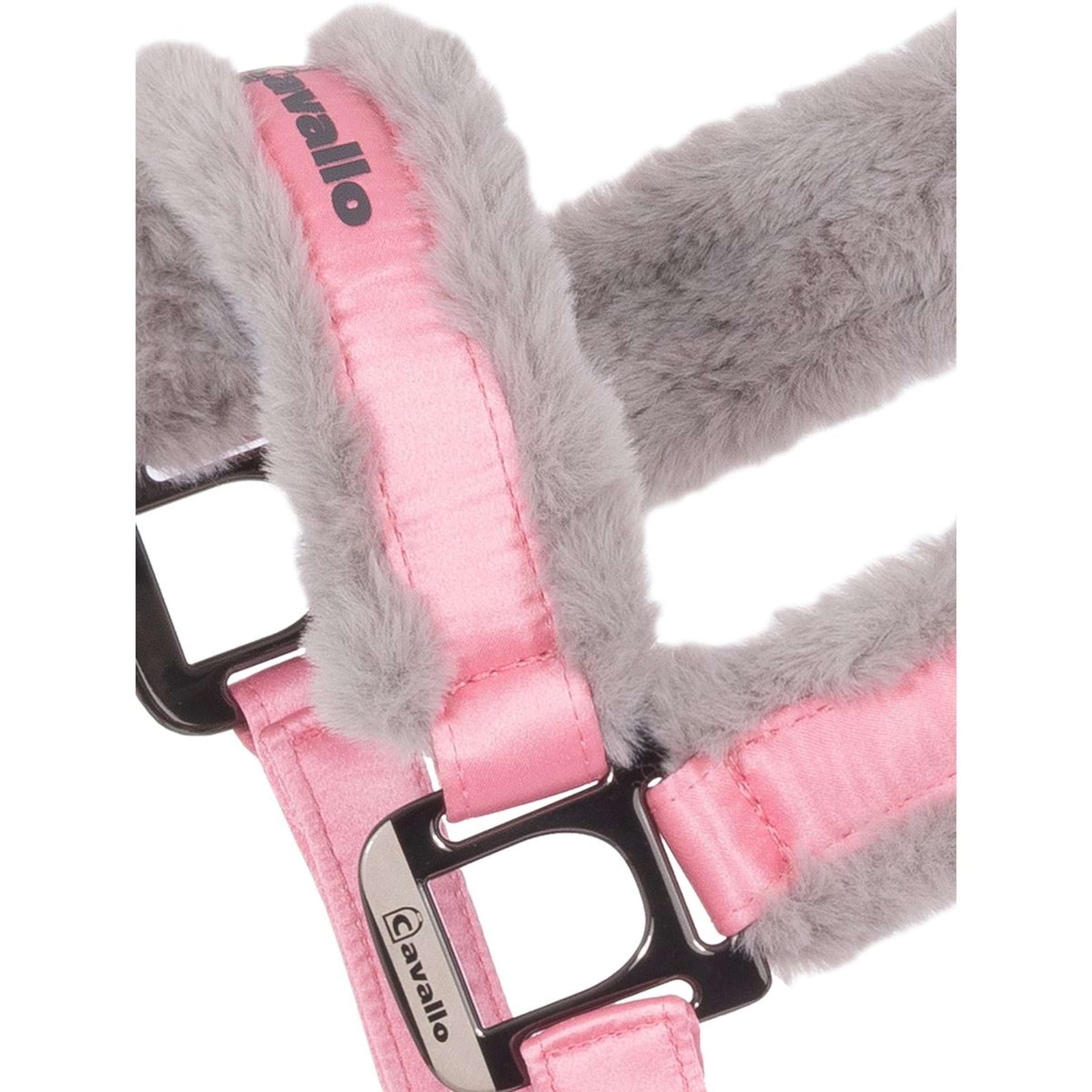 Cavallo Licol CavalJero Powder Pink Cavallo Licol CavalJero Powder Pink